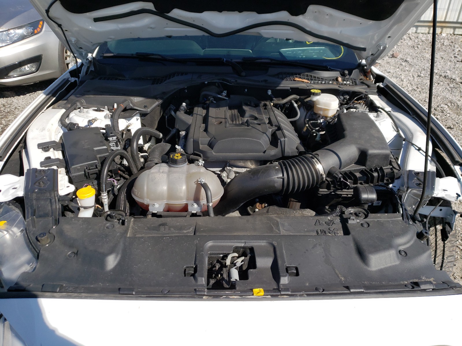 Photo 7 from auction – 2019 FORD MUSTANG with VIN 1FA6P8TH7K5172642