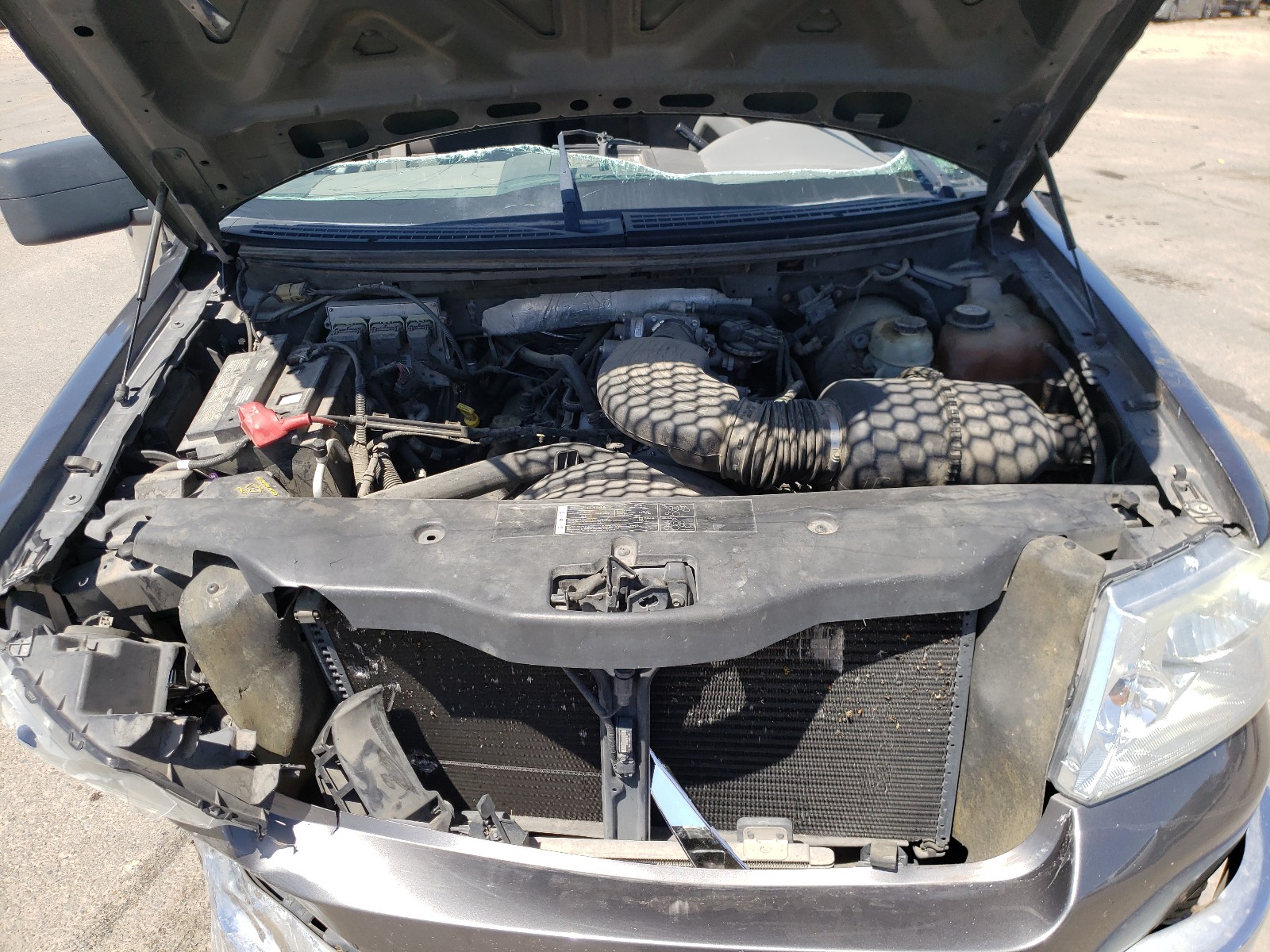 Photo 7 from auction – 2006 FORD F150 with VIN 1FTRX14W36KD20952