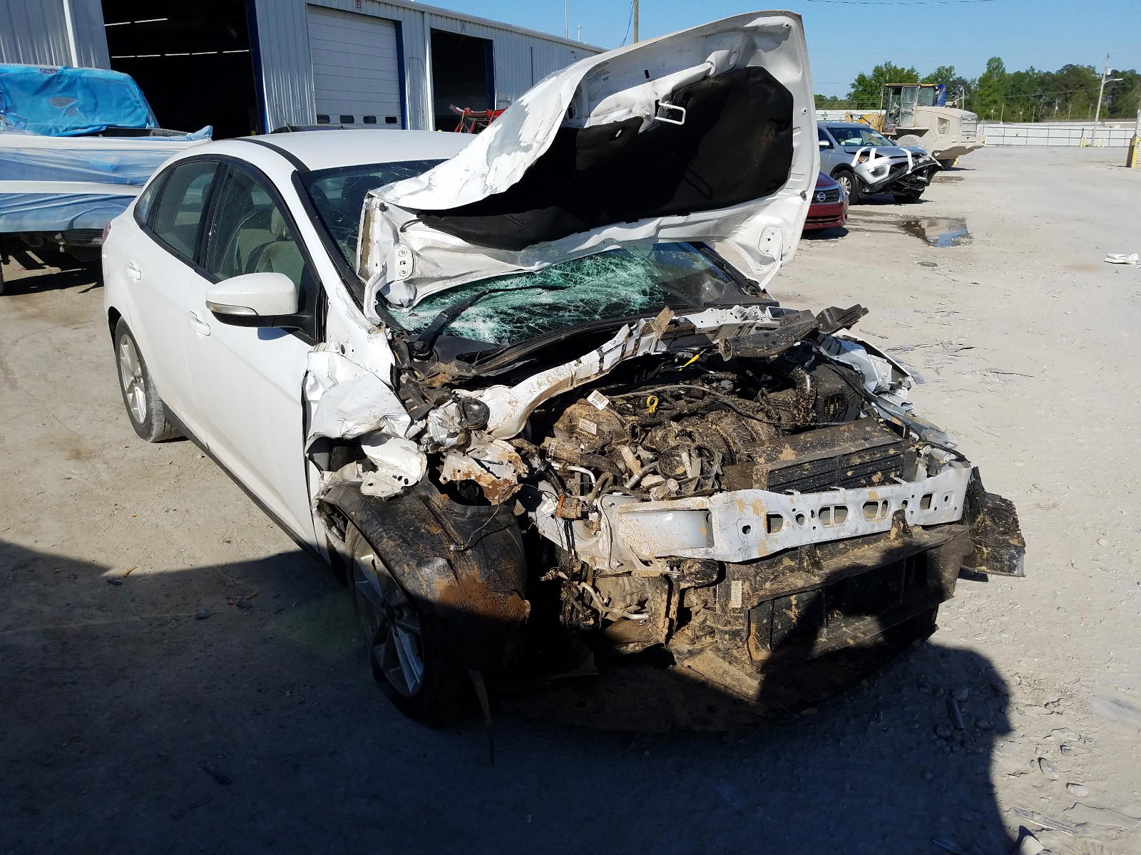 FORD FOCUS SE 2016 with VIN 1FADP3F23GL224028 - Photo from auction