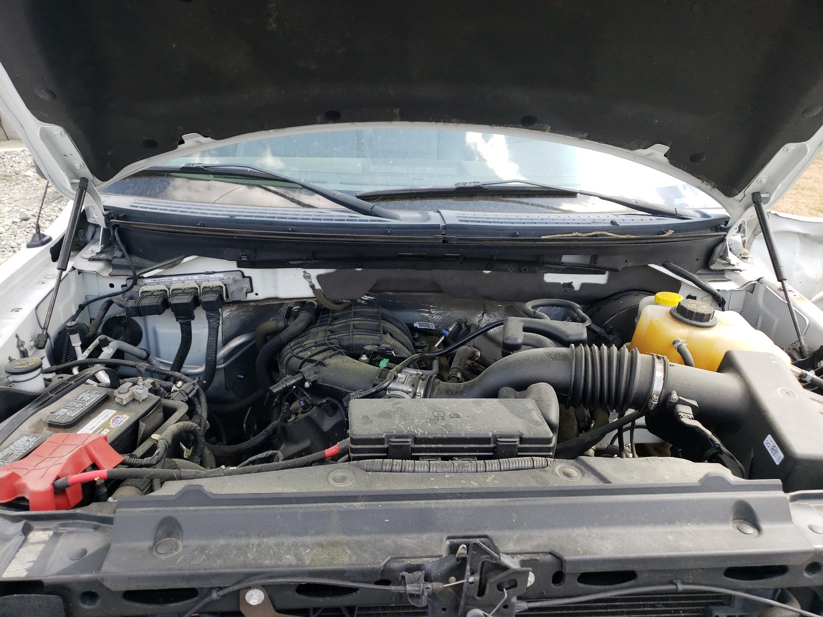 Photo 7 from auction – 2014 FORD F150 with VIN 1FTMF1CM8EKG36715