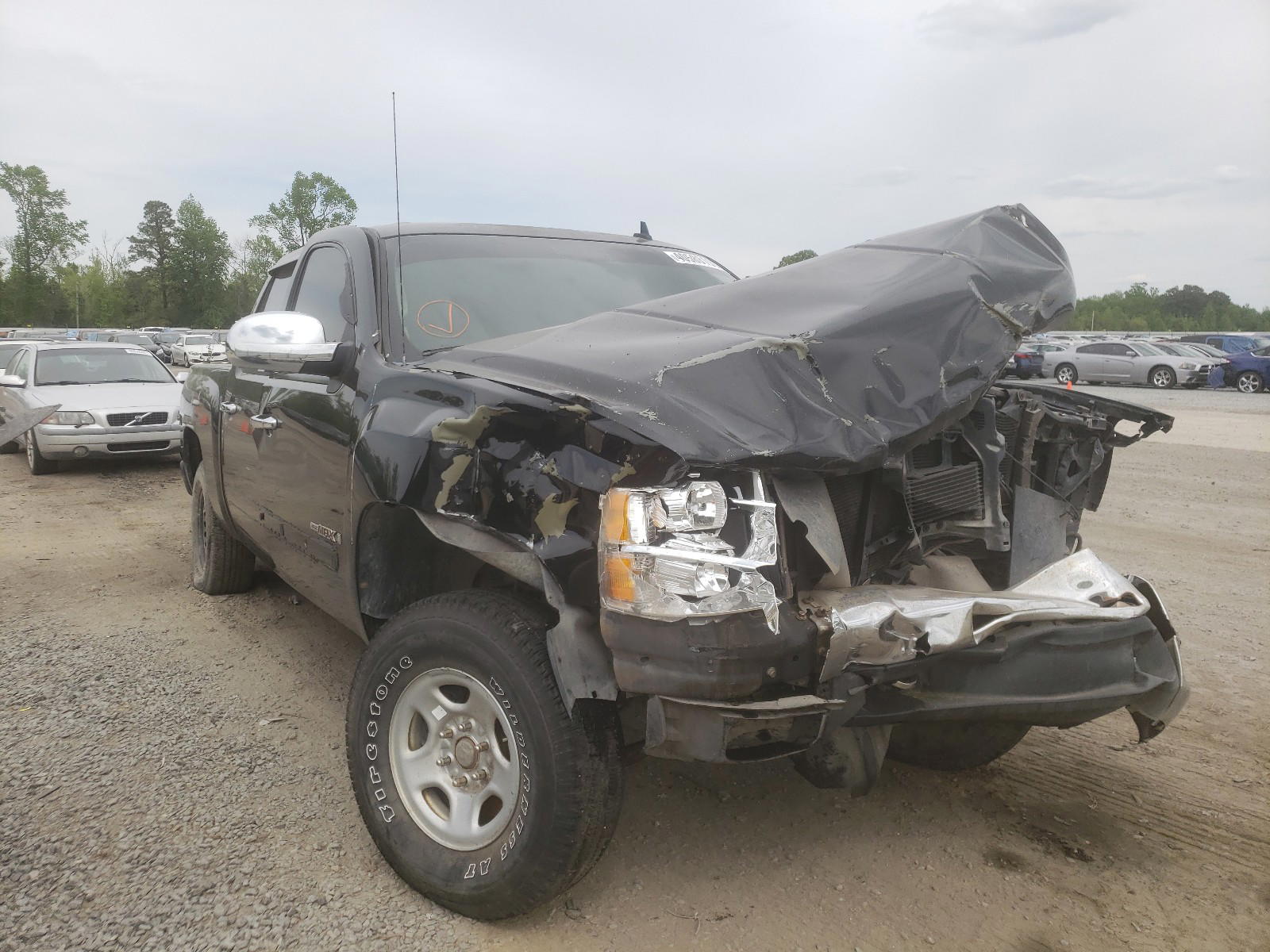 CHEVROLET SILVERADO 2008 with VIN 2GCEK133181220534 - Photo from auction