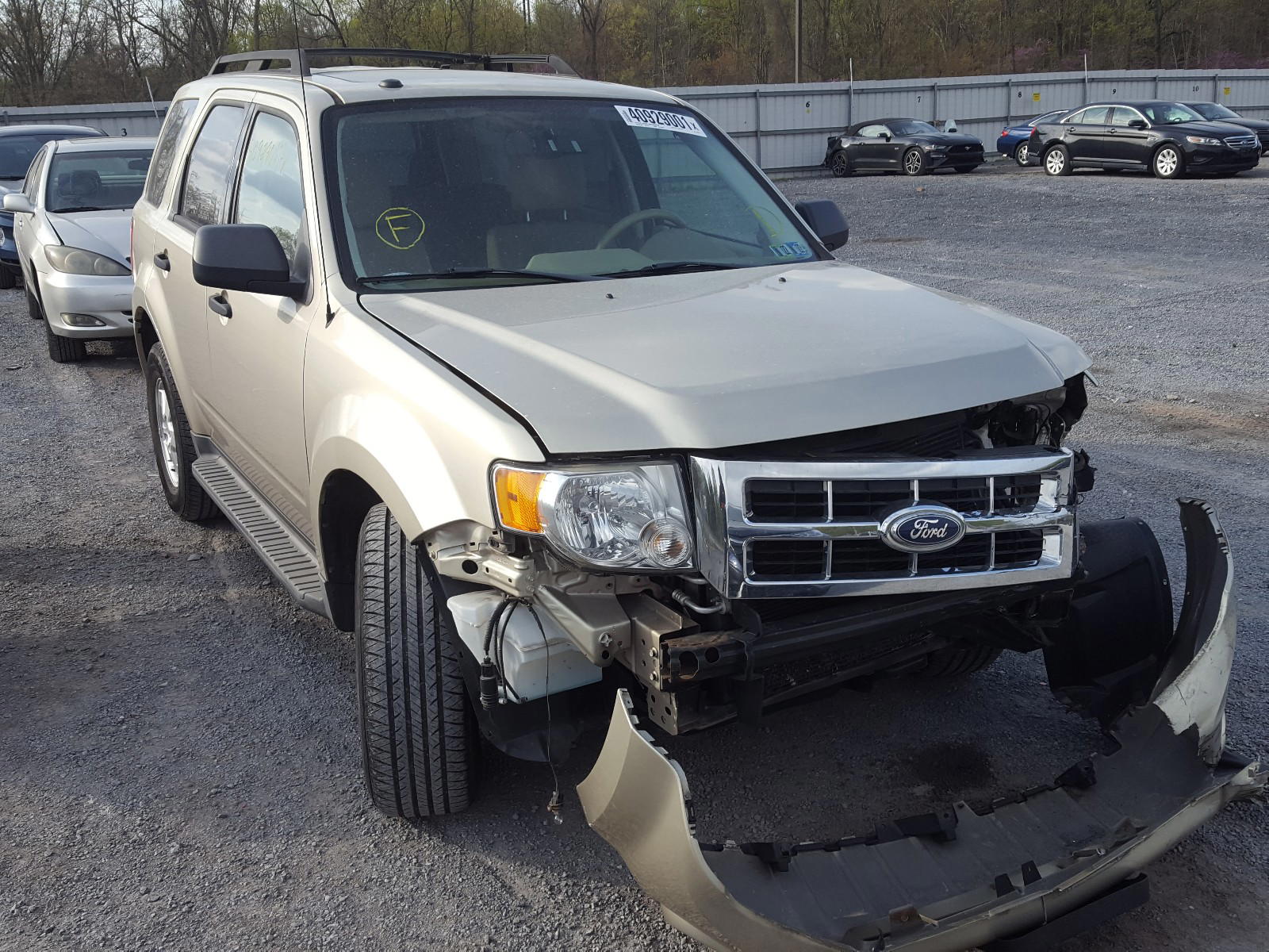 FORD ESCAPE XLT 2010 with VIN 1FMCU9DG2AKD37011 - Photo from auction