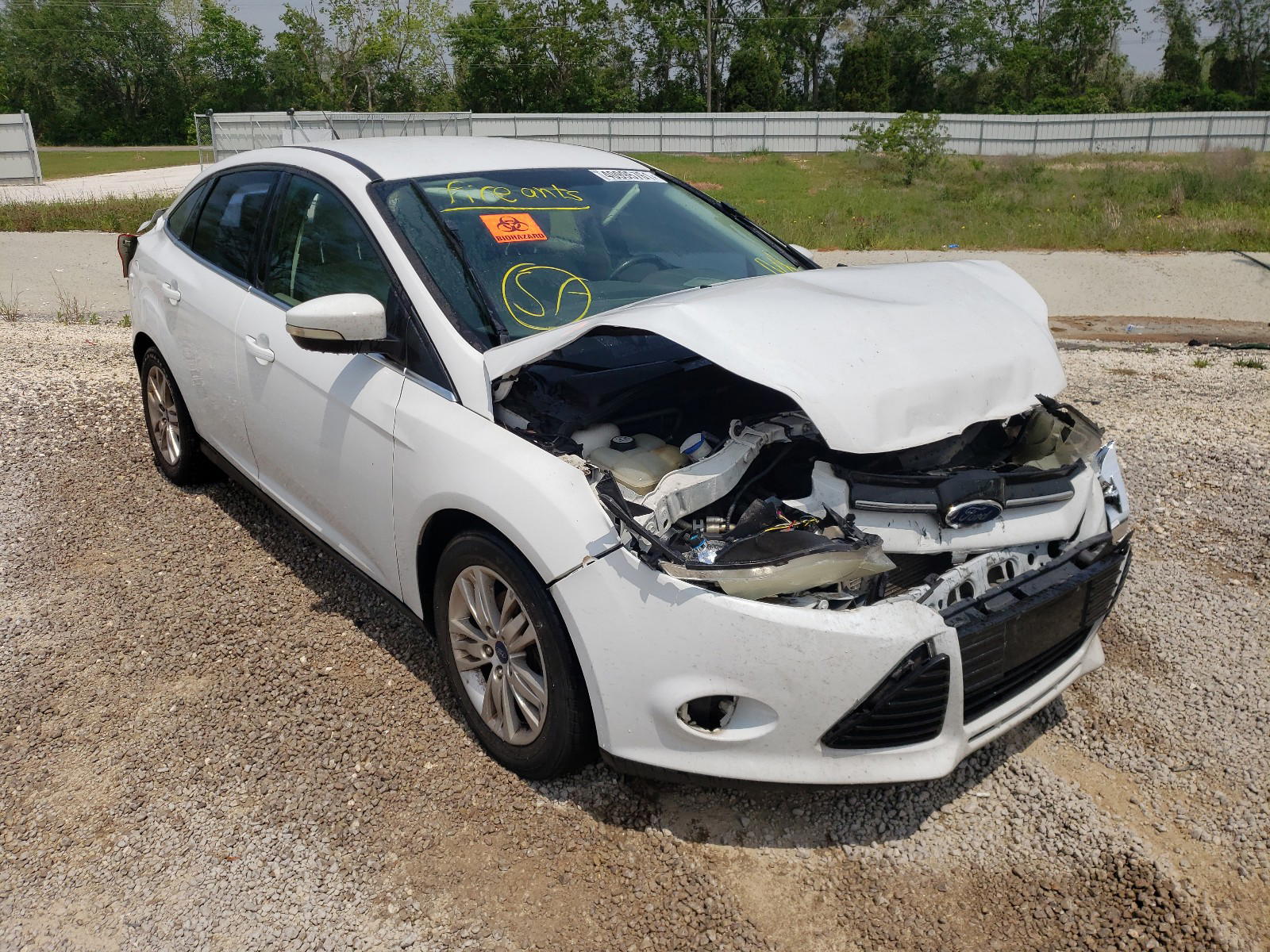 FORD FOCUS SEL 2012 with VIN 1FAHP3H26CL163217 - Photo from auction