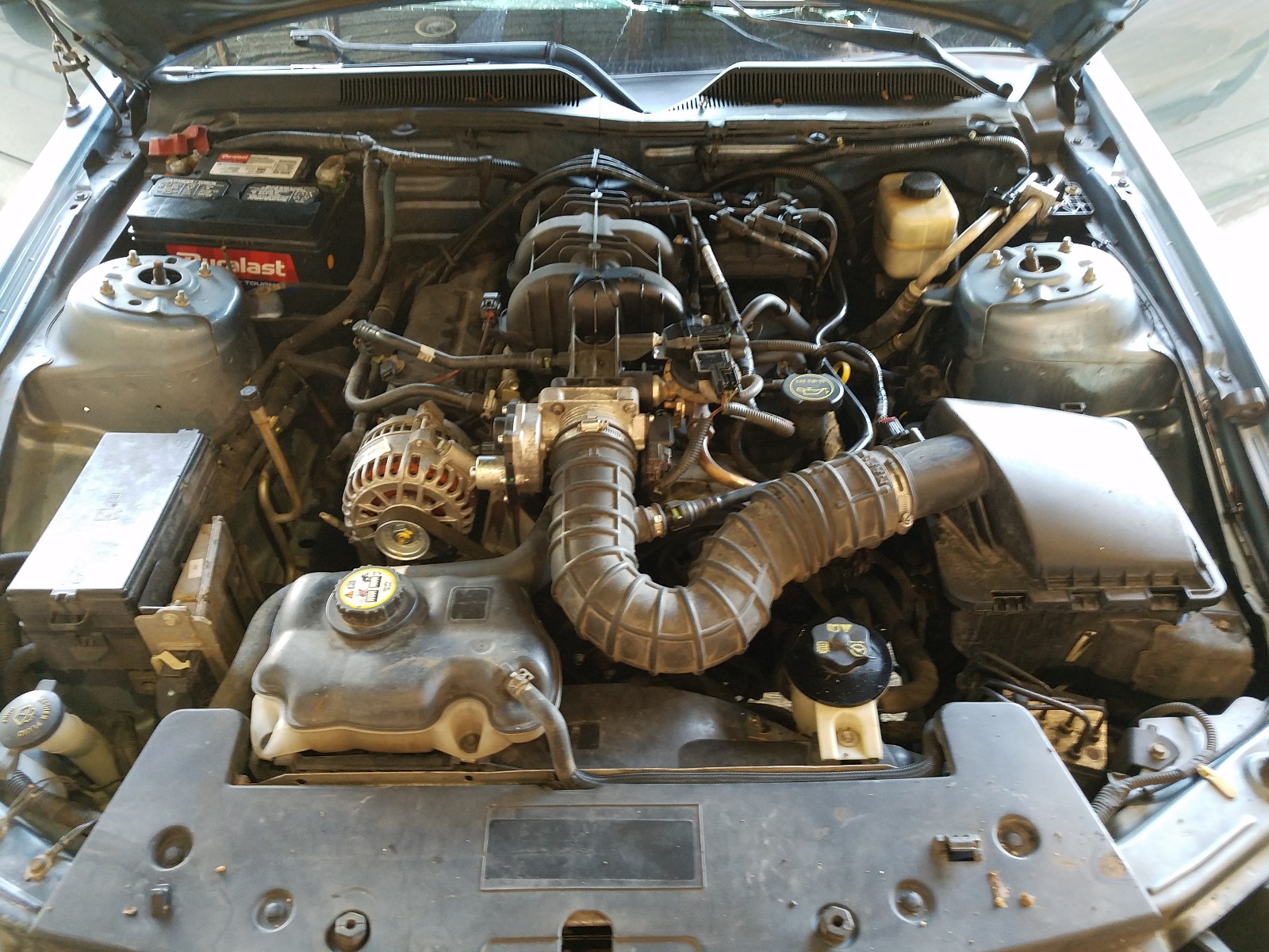 Photo 7 from auction – 2008 FORD MUSTANG with VIN 1ZVHT84N985140574