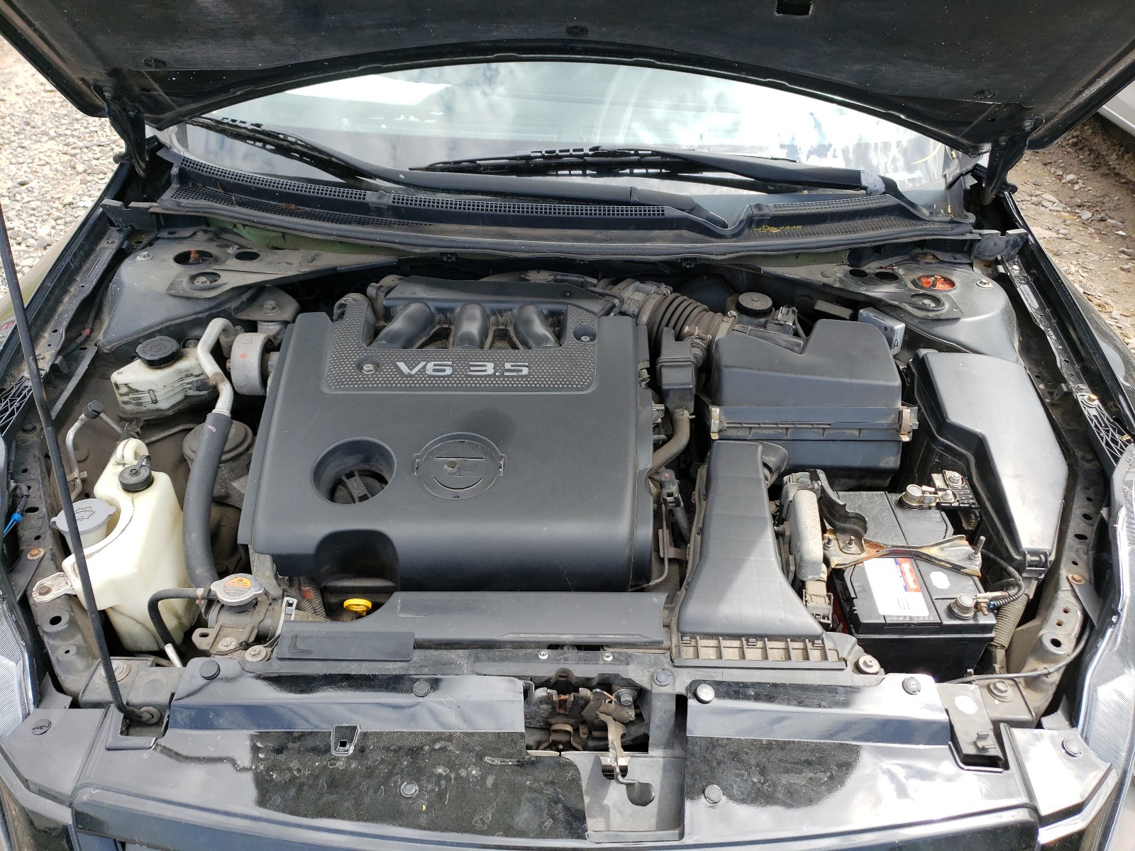 Photo 7 from auction – 2008 NISSAN ALTIMA 3.5 with VIN 1N4BL24E58C223068