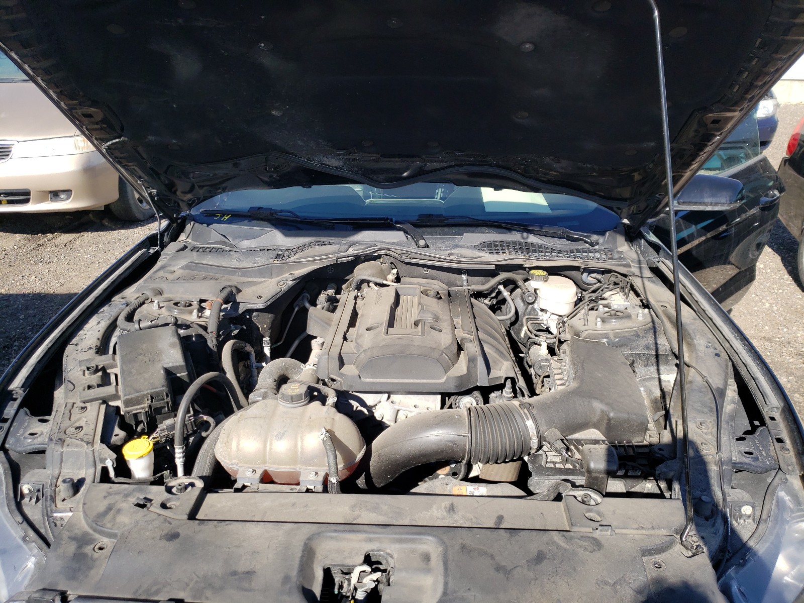Zdjęcie 7 z aukcji – 2016 FORD MUSTANG z VIN 1FA6P8TH2G5305606