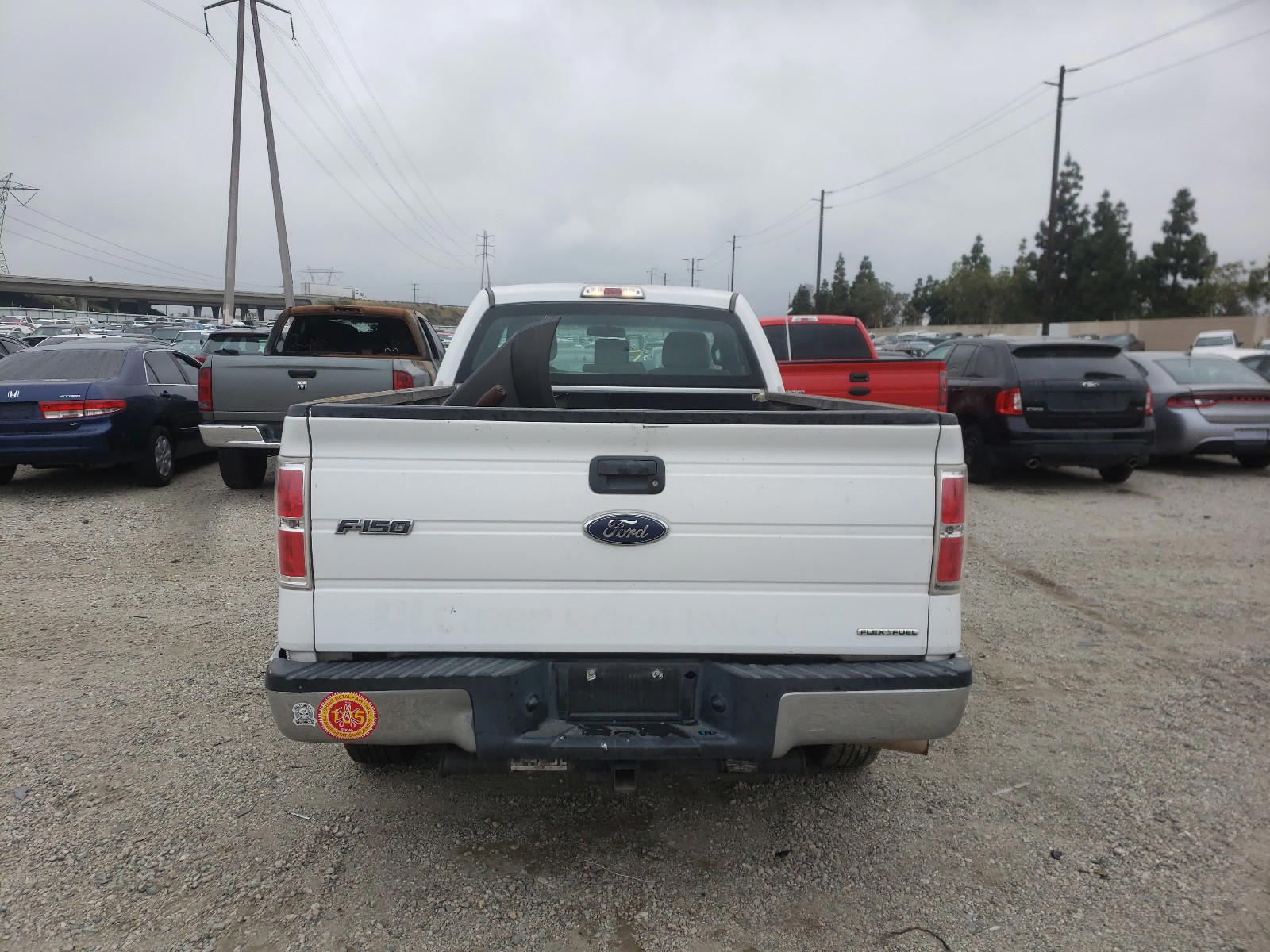 Photo 6 from auction – 2014 FORD F150 with VIN 1FTNF1CF1EKD21101