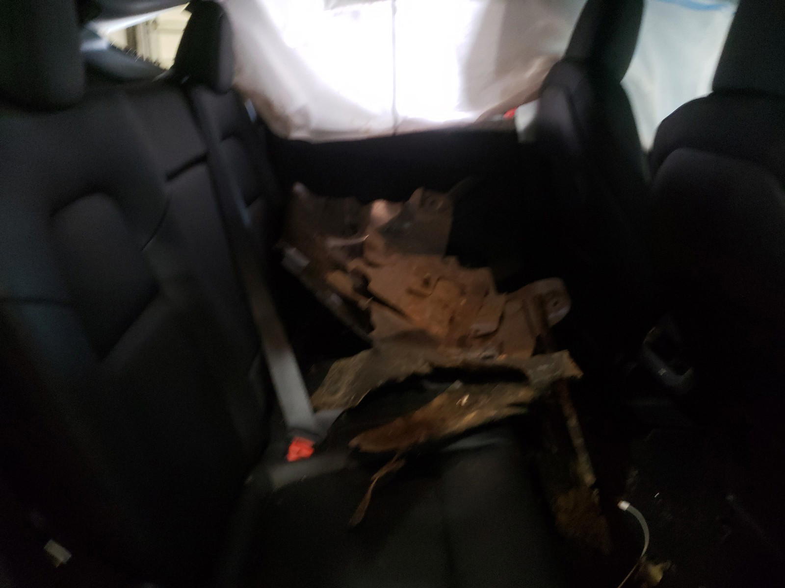 Photo 6 from auction – 2020 TESLA MODEL Y with VIN 5YJYGDEE3LF036300
