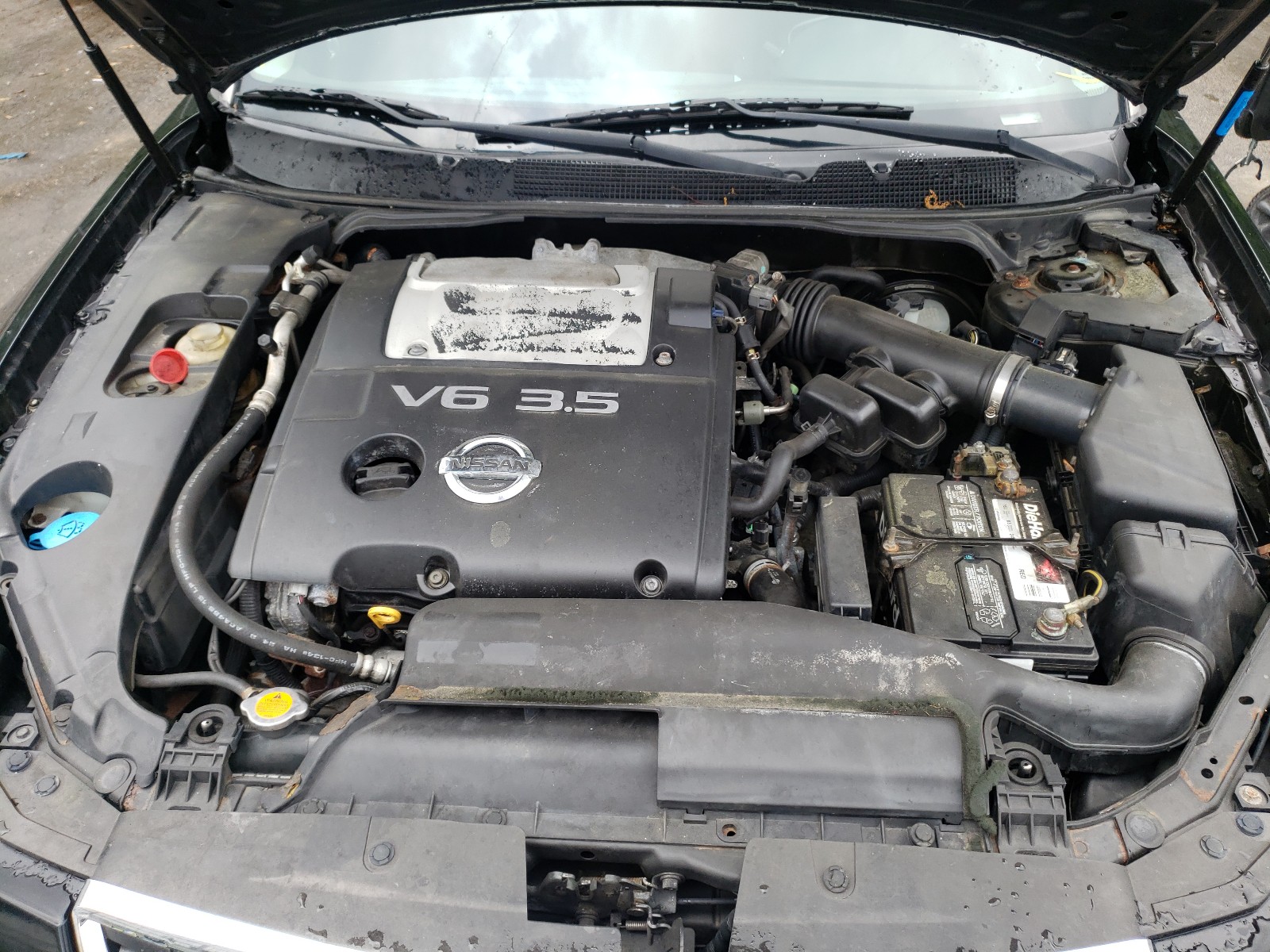 Photo 7 from auction – 2008 NISSAN MAXIMA SE with VIN 1N4BA41EX8C833649