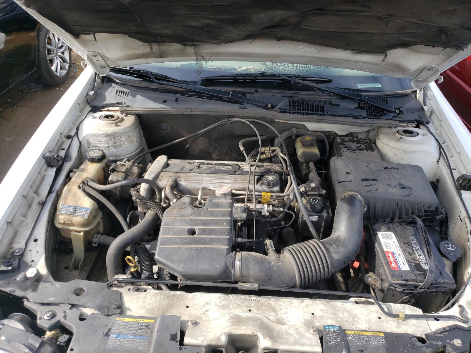 Photo 7 from auction – 2004 CHEVROLET CLASSIC with VIN 1G1ND52F64M527041