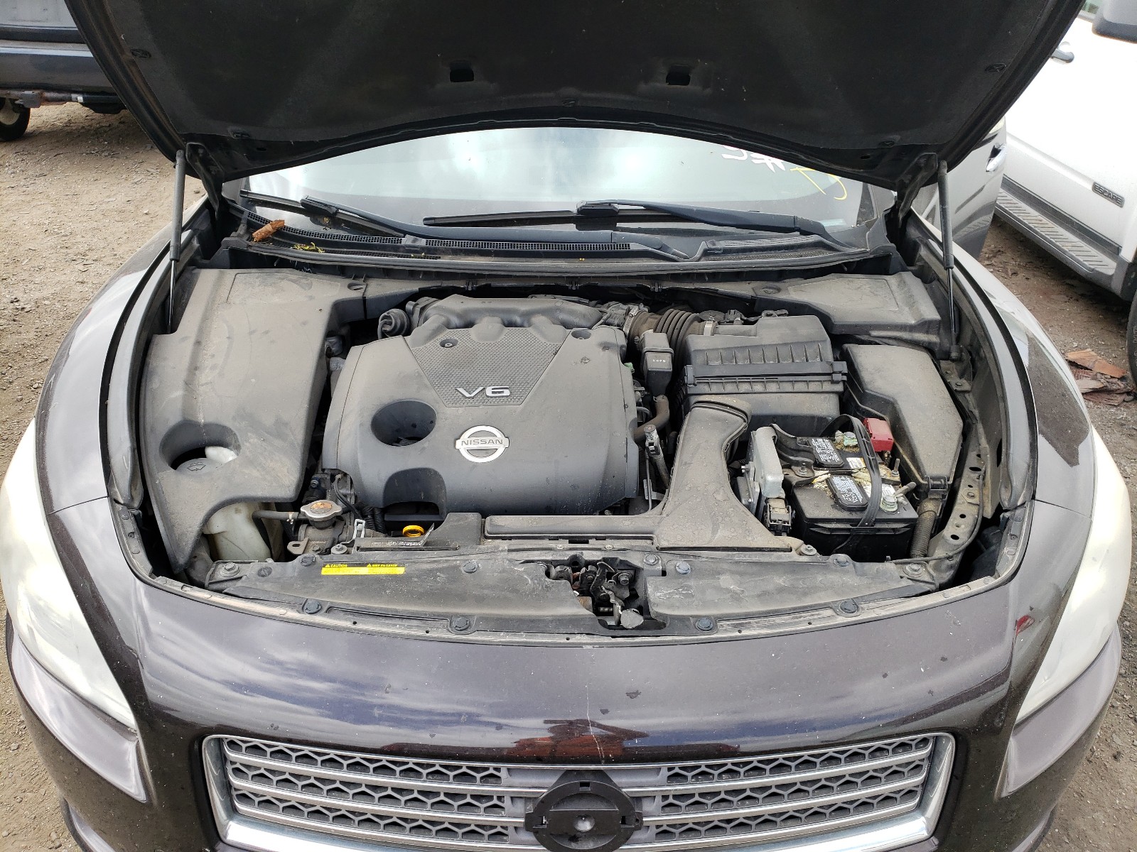 Photo 7 from auction – 2010 NISSAN MAXIMA S with VIN 1N4AA5AP7AC873051