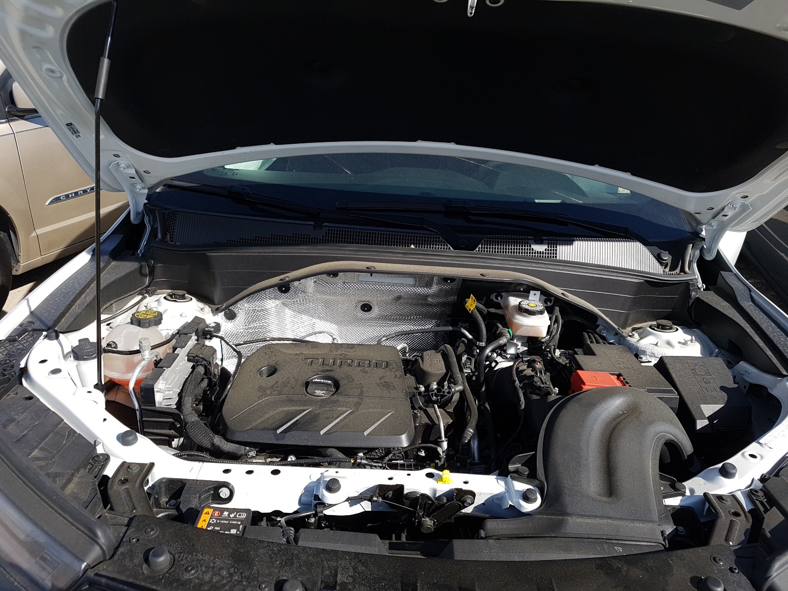 Photo 7 from auction – 2021 CHEVROLET TRAILBLAZE with VIN KL79MTSL8MB004566