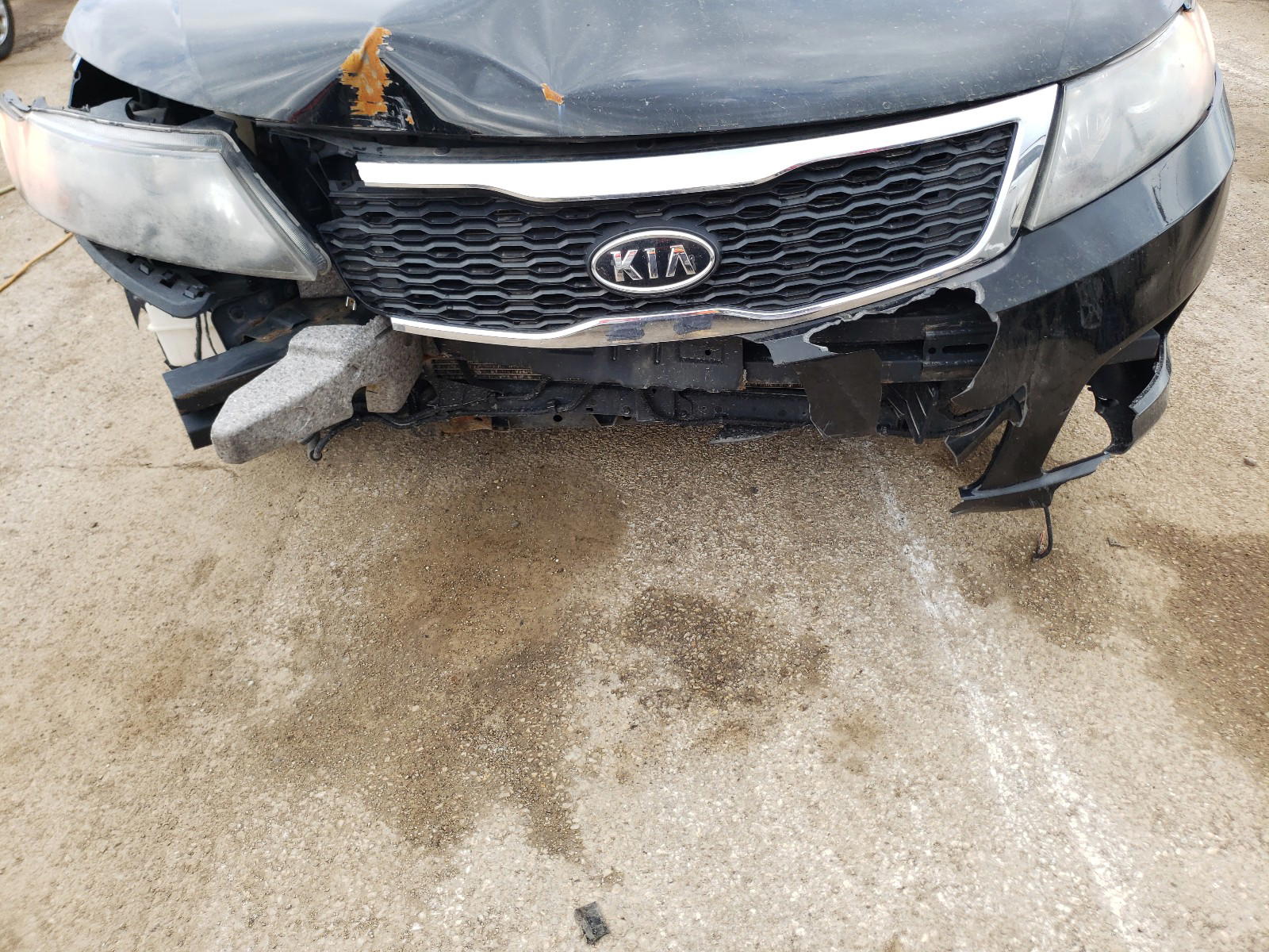 Photo 9 from auction – 2009 KIA OPTIMA SX with VIN KNAGE228895334403