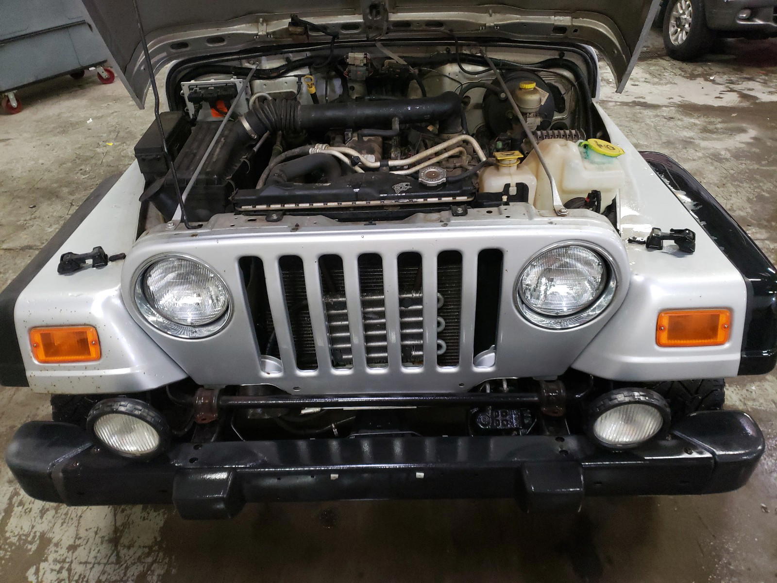 Photo 7 from auction – 2004 JEEP WRANGLER / with VIN 1J4FA69S14P796943