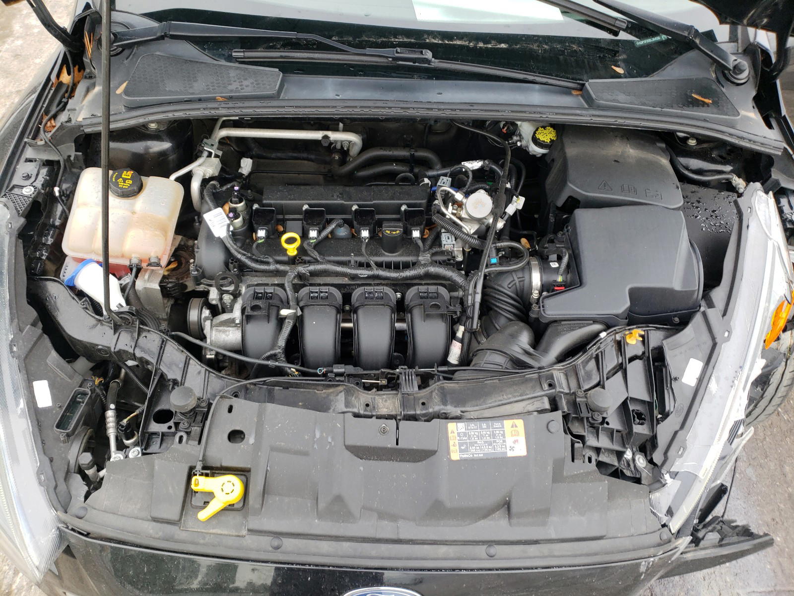 Photo 7 from auction – 2016 FORD FOCUS SE with VIN 1FADP3F20GL394556