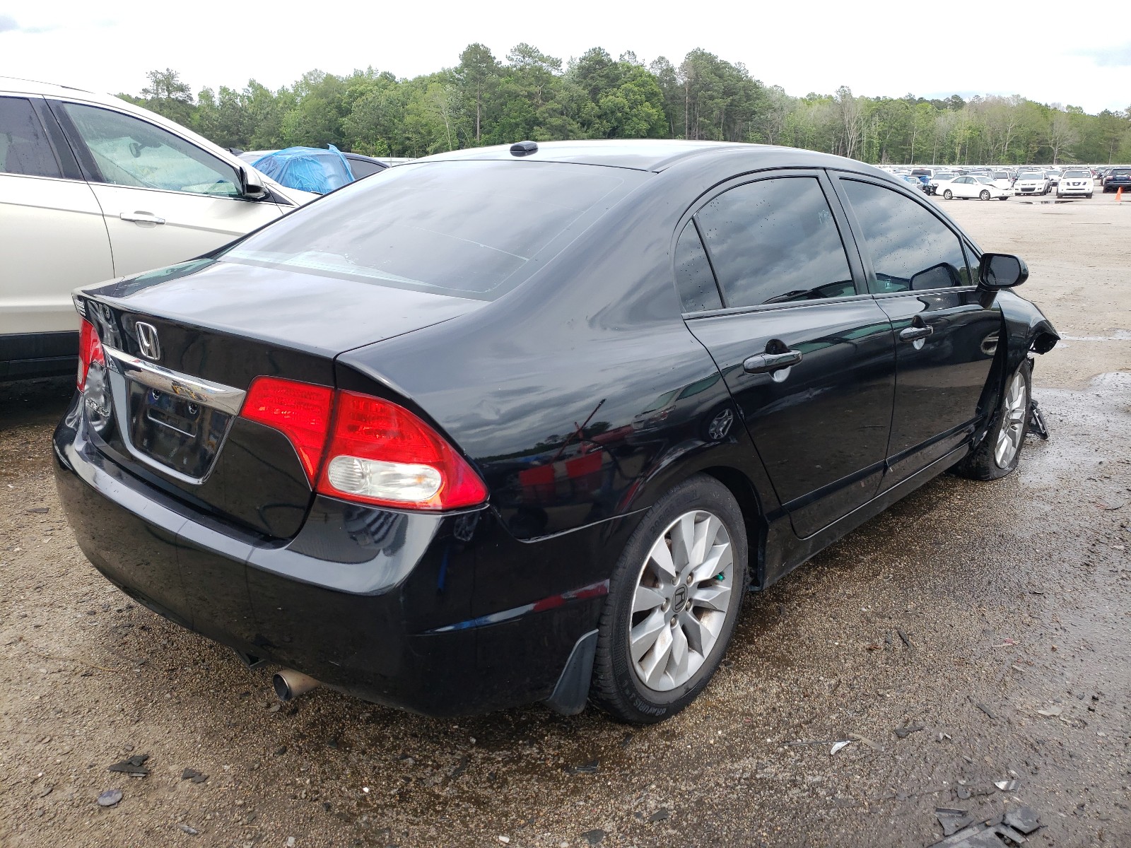 Photo 4 from auction – 2011 HONDA CIVIC EXL with VIN 2HGFA1F99BH517509