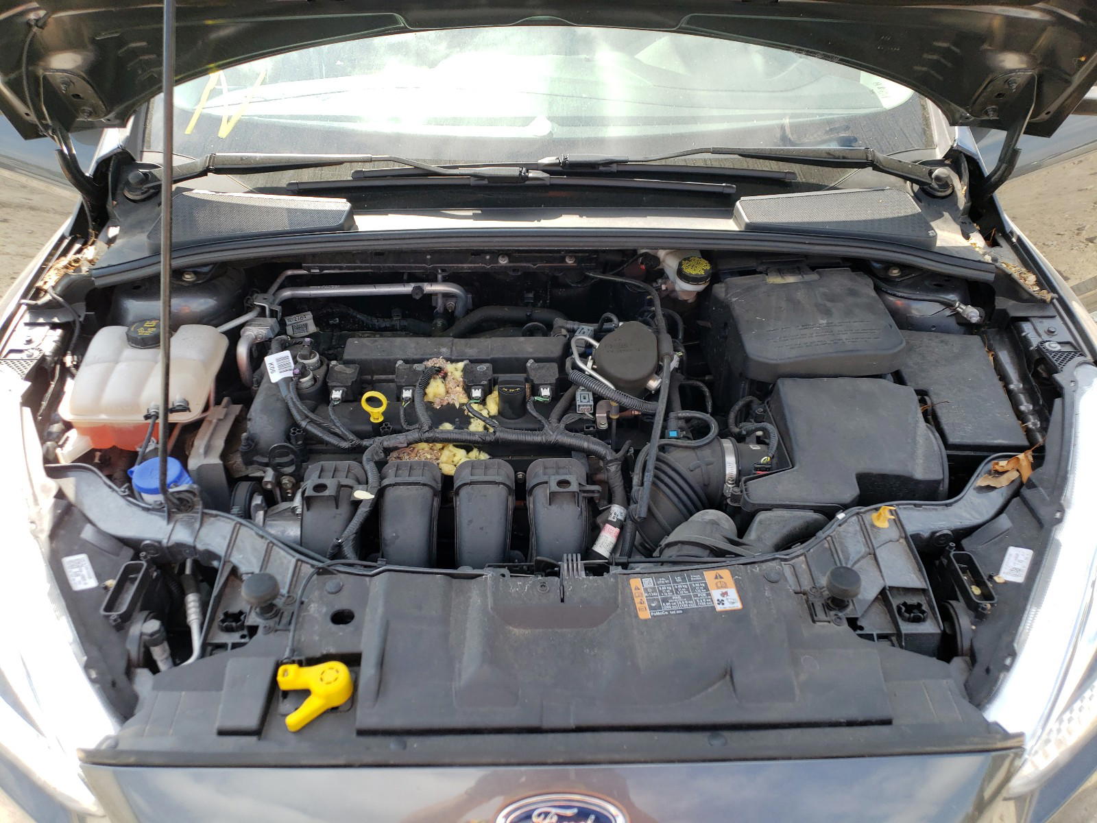 Photo 7 from auction – 2015 FORD FOCUS SE with VIN 1FADP3F21FL219862