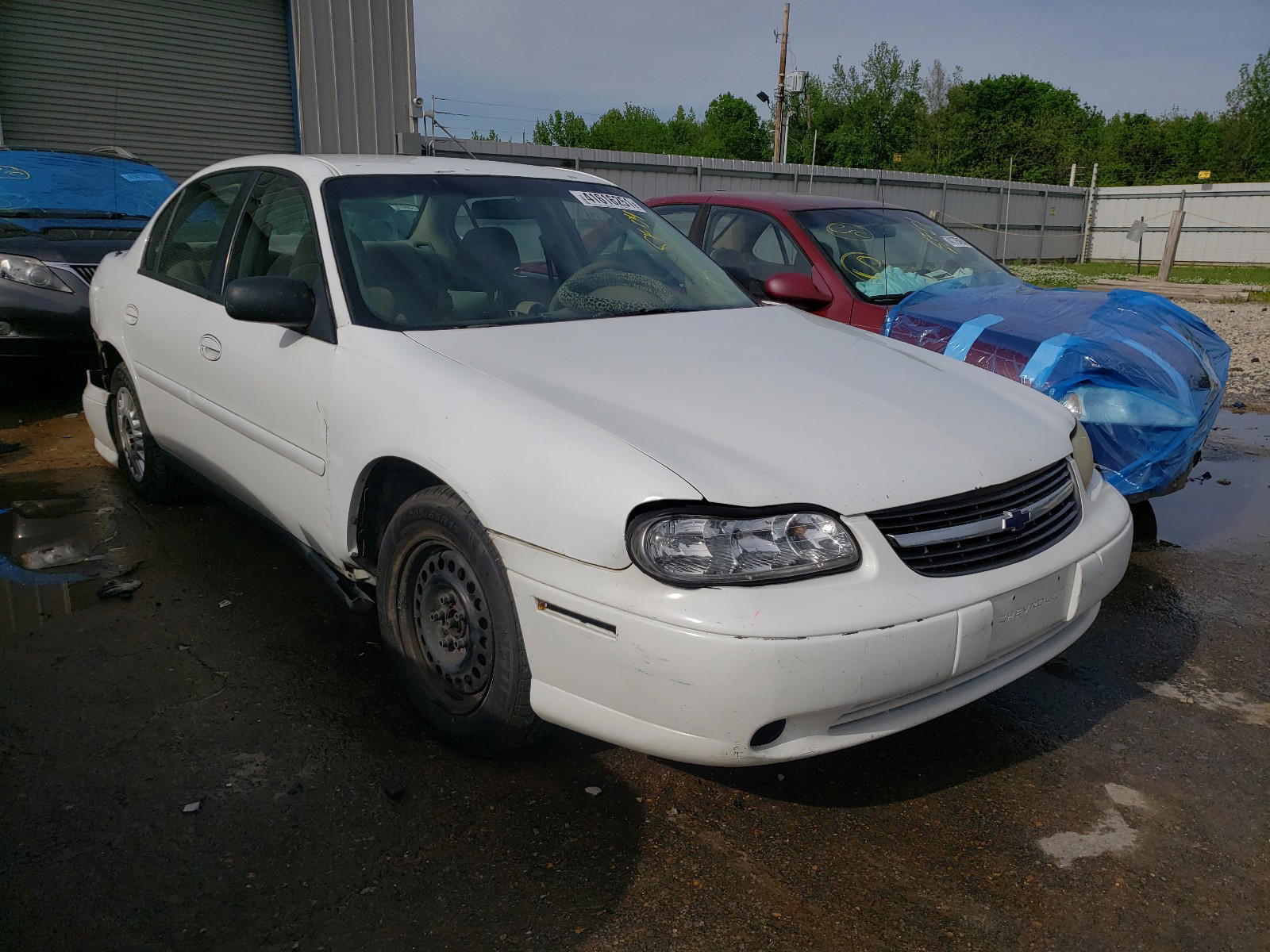 CHEVROLET CLASSIC 2004 with VIN 1G1ND52F64M527041 - Photo from auction