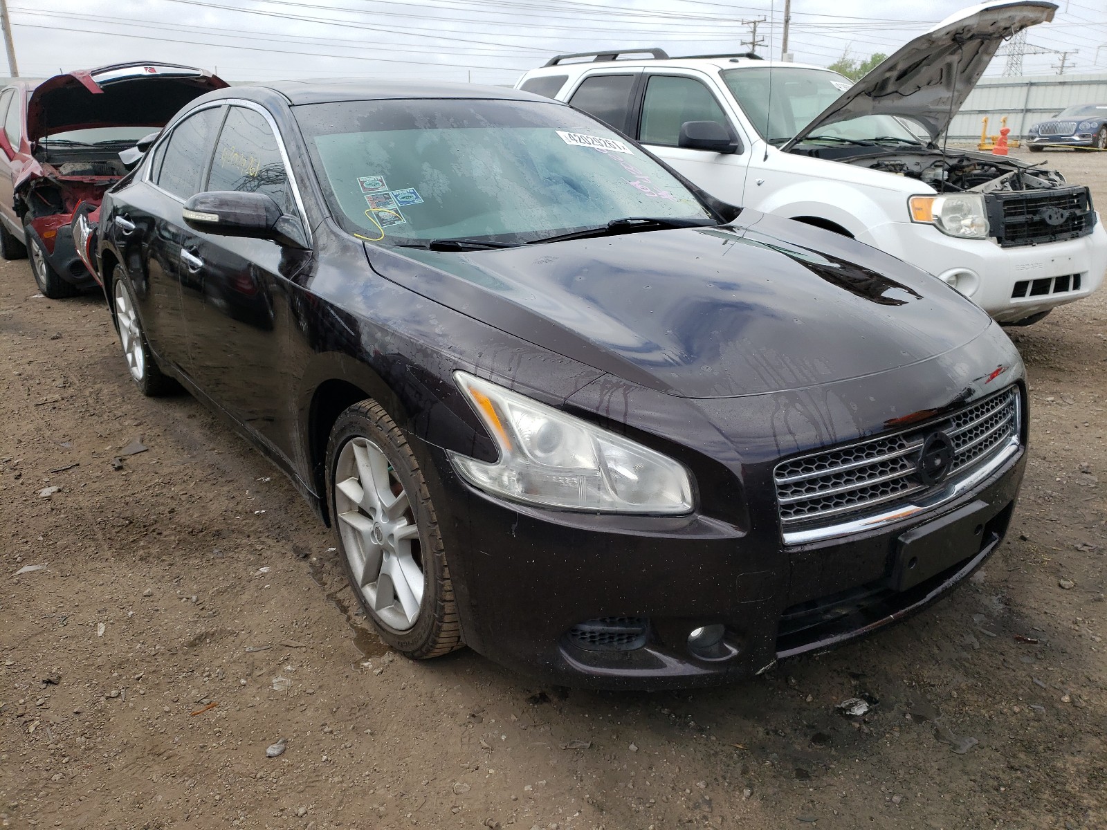 Photo 1 from auction – 2010 NISSAN MAXIMA S with VIN 1N4AA5AP7AC873051