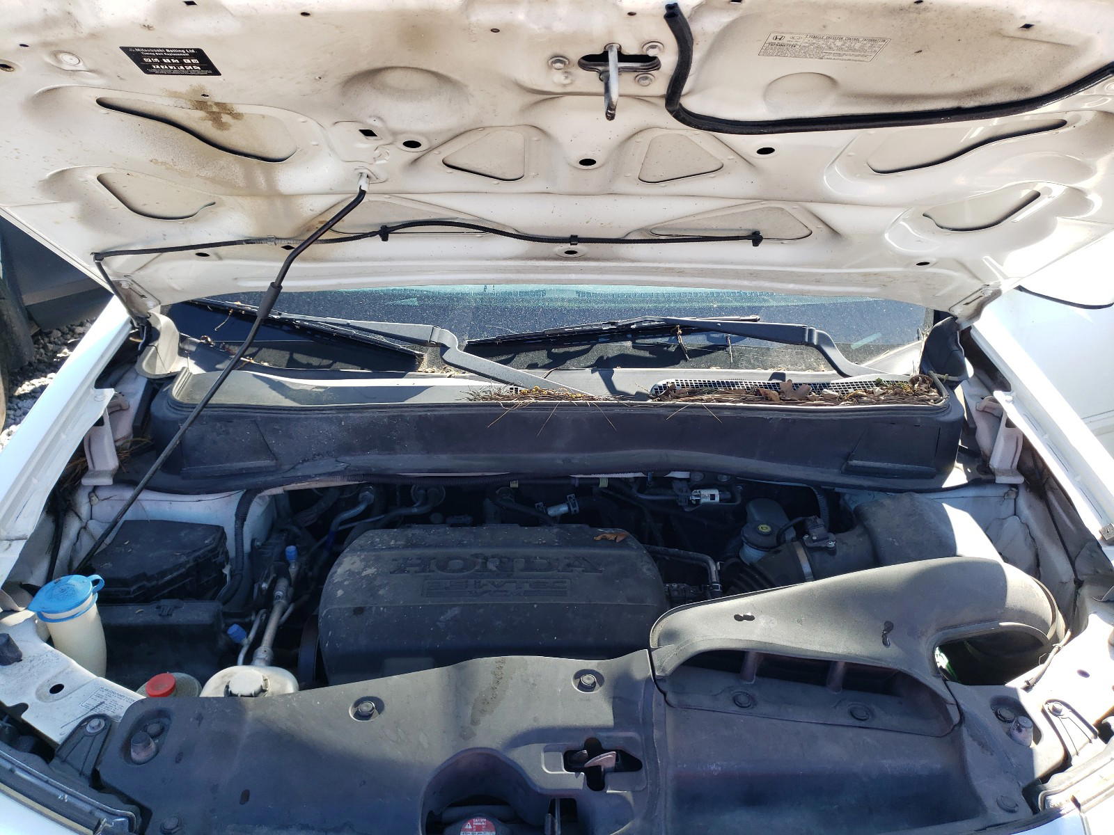 Photo 7 from auction – 2014 HONDA PILOT EXL with VIN 5FNYF3H56EB003531