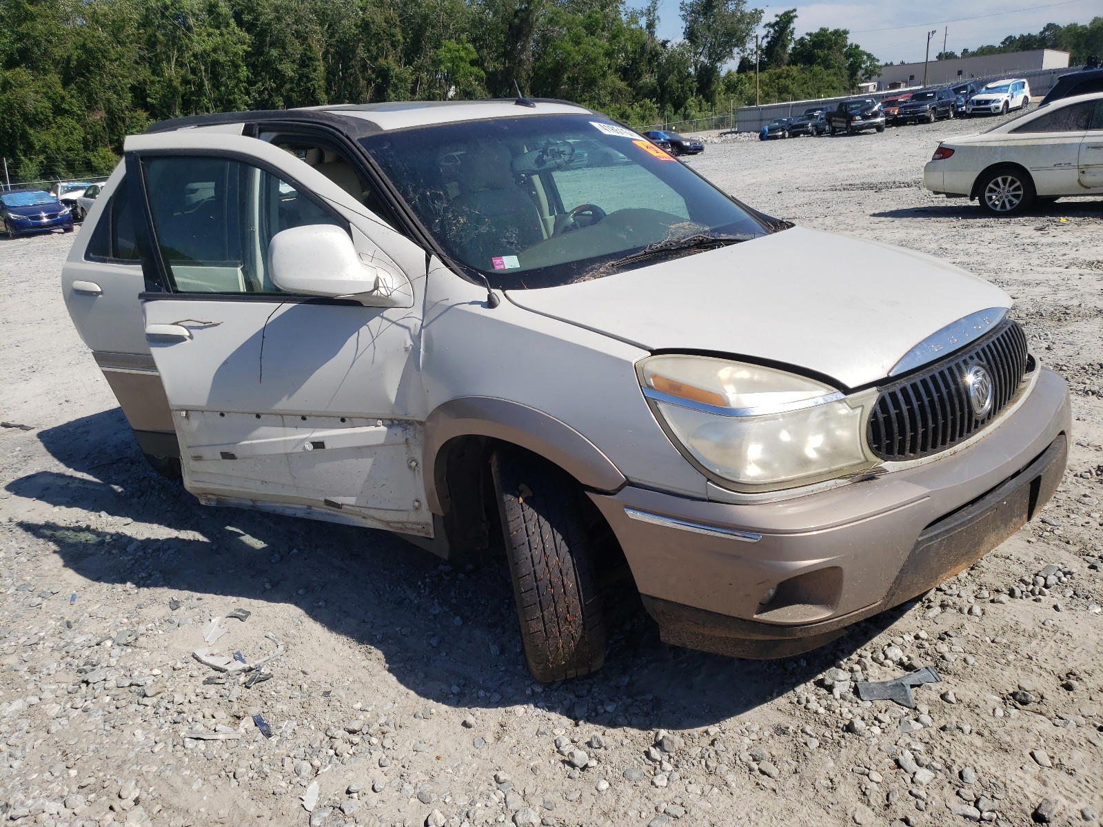 BUICK RENDEZVOUS 2006 with VIN 3G5DA03L16S602709 - Photo from auction