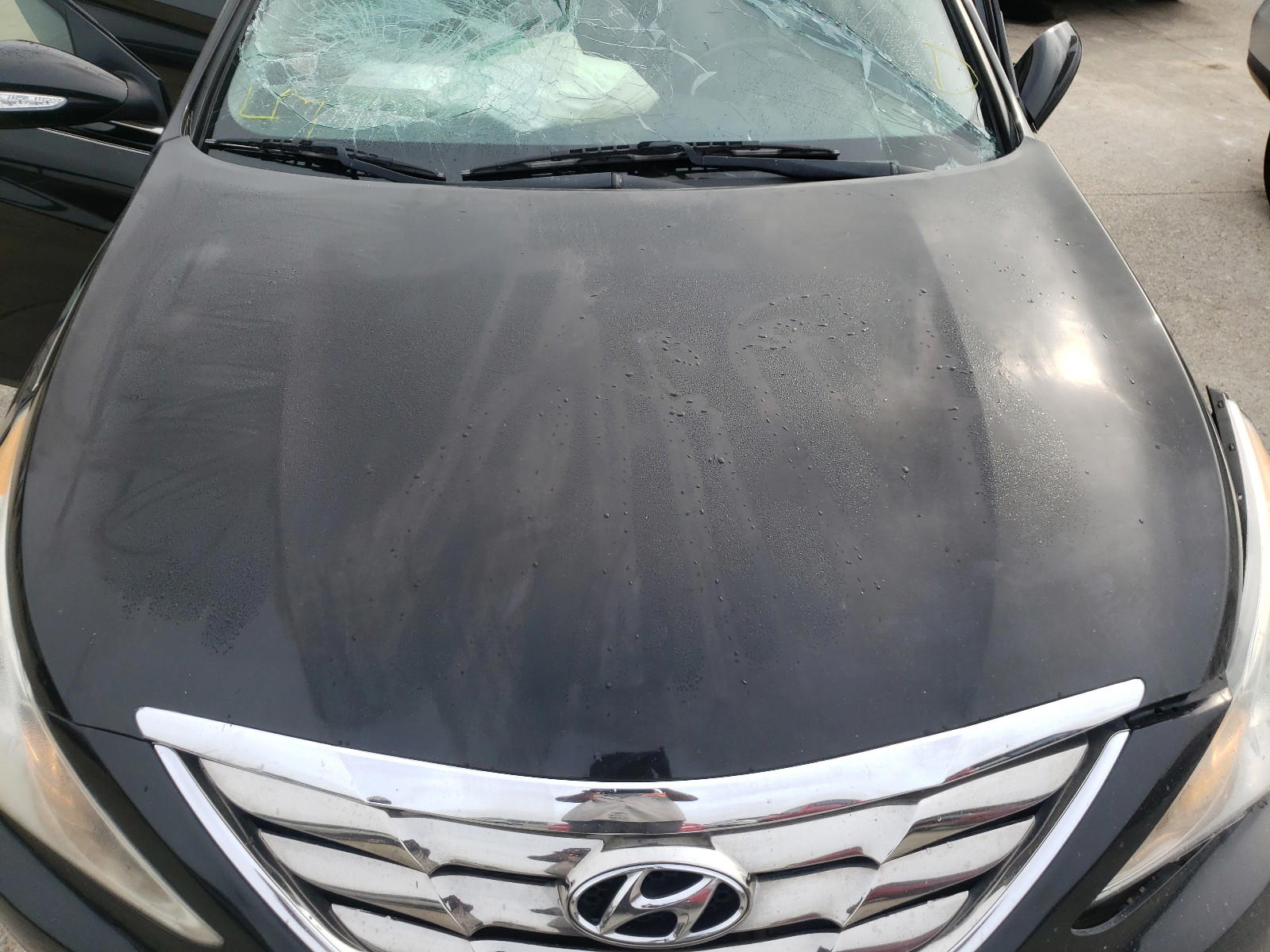 Photo 7 from auction – 2012 HYUNDAI SONATA SE with VIN 5NPEC4AB4CH374901