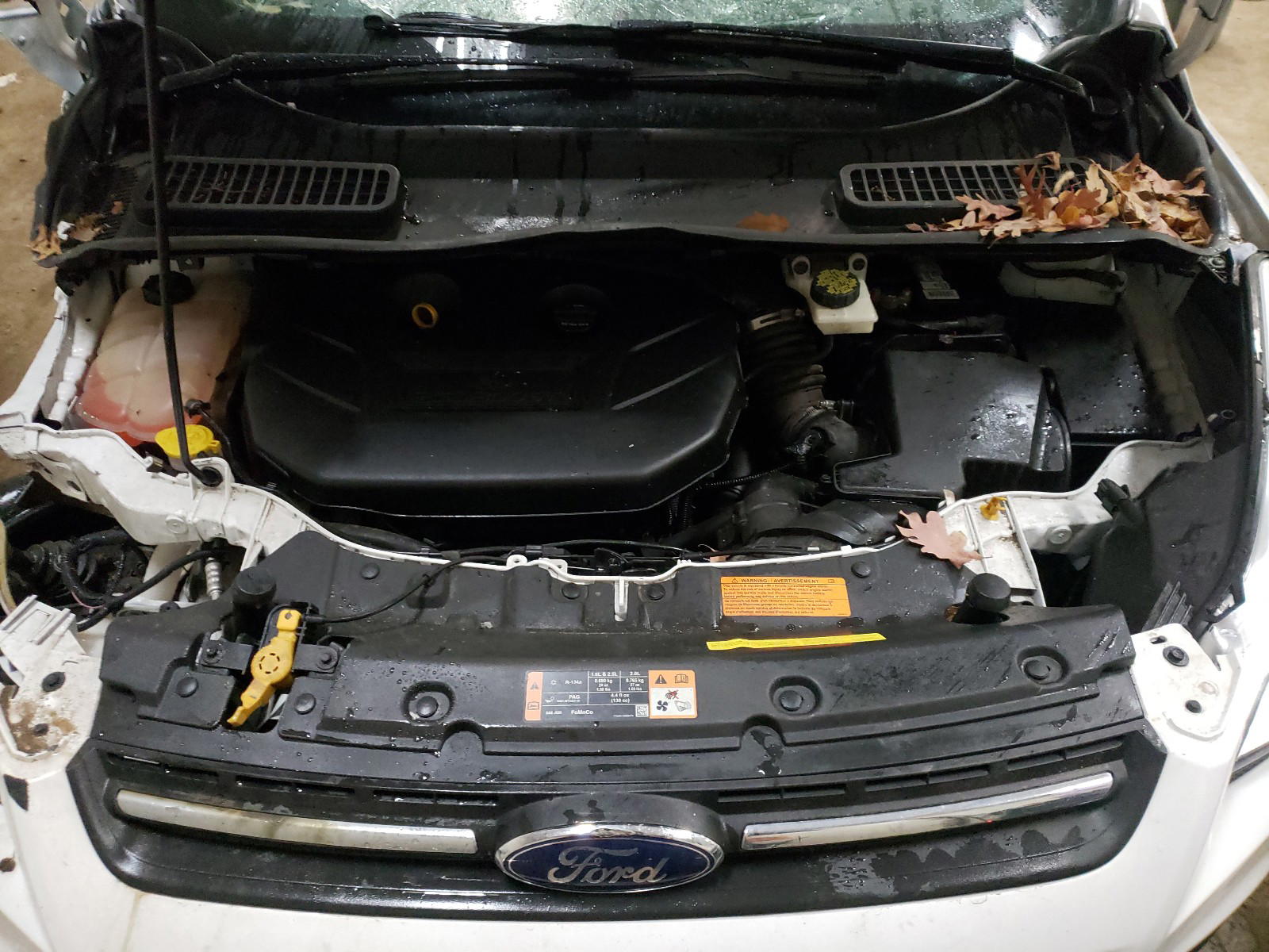 Photo 7 from auction – 2014 FORD ESCAPE SE with VIN 1FMCU9G96EUE50211