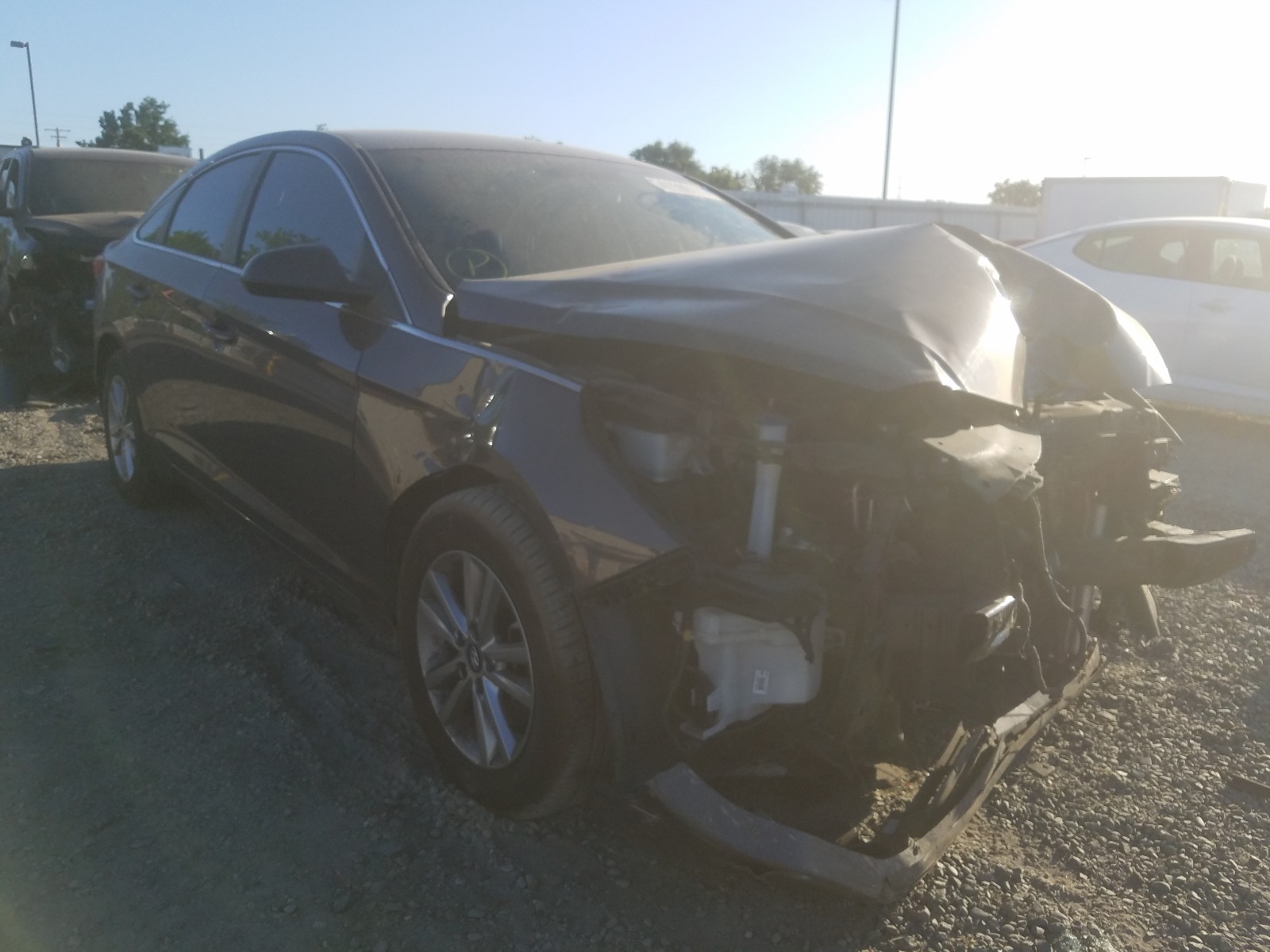 HYUNDAI SONATA SE 2016 with VIN 5NPE24AF5GH408307 - Photo from auction