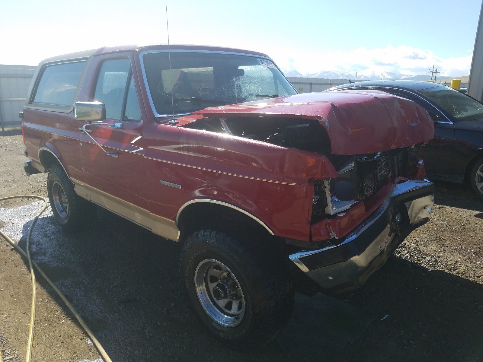 Photo 1 from auction – 1989 FORD BRONCO U10 with VIN 1FMEU15N9KLB29307