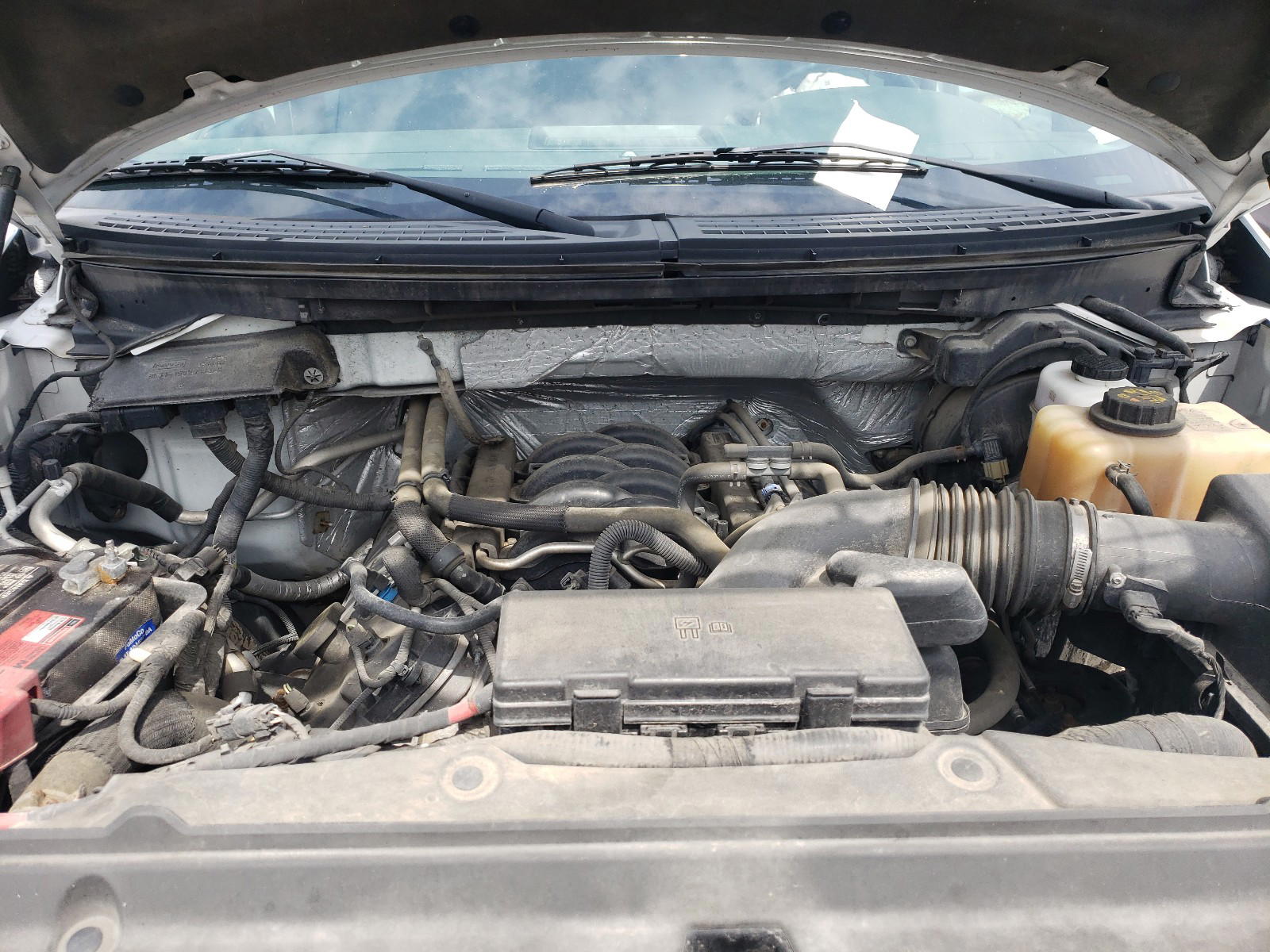 Photo 7 from auction – 2011 FORD F150 SUPER with VIN 1FTFW1EF1BFD11545