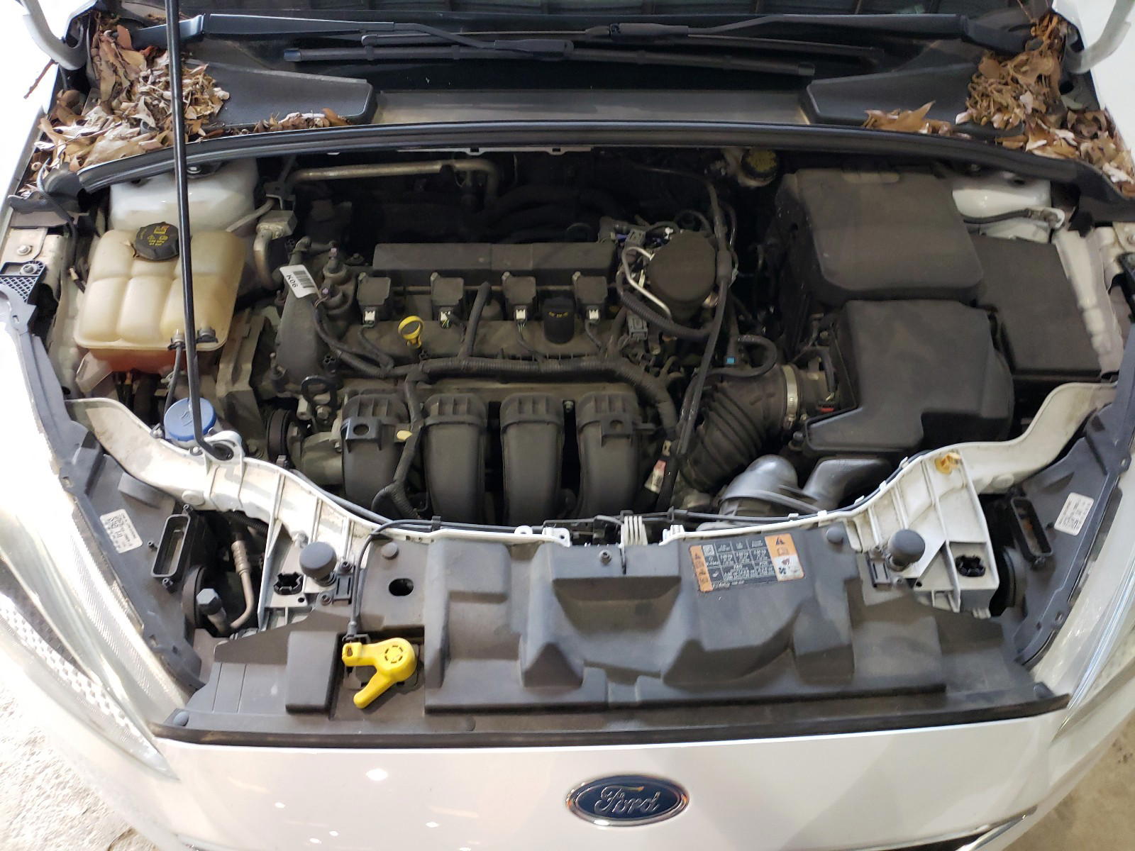 Photo 7 from auction – 2015 FORD FOCUS SE with VIN 1FADP3K24FL249394
