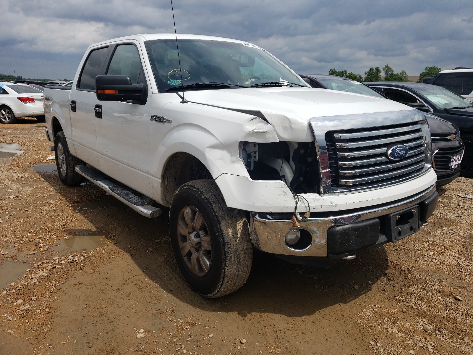 FORD F150 SUPER 2011 مع رقم تعريف المركبة 1FTFW1EF1BFD11545 - صورة من المزاد
