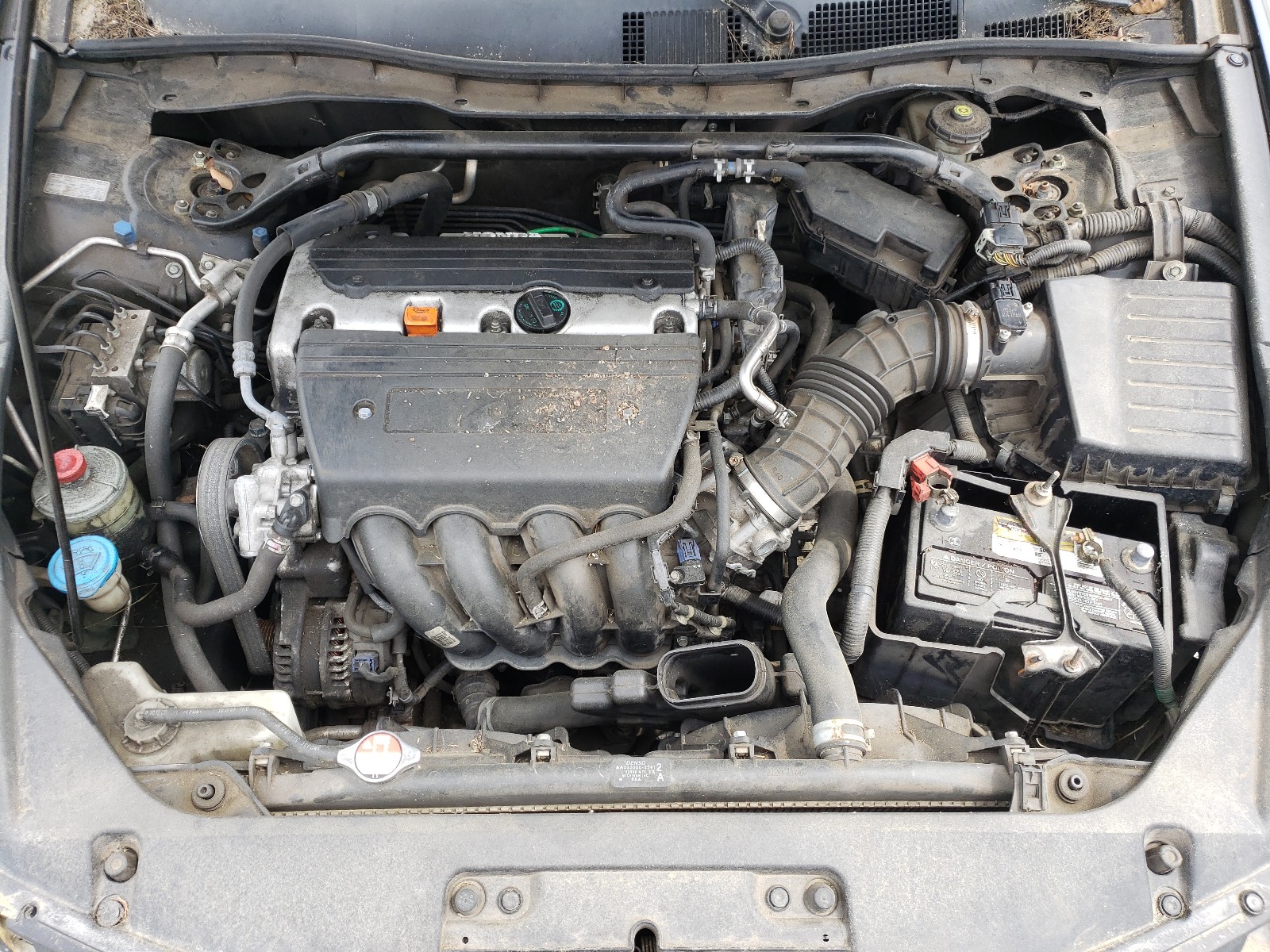 Photo 7 from auction – 2008 HONDA ACCORD EXL with VIN 1HGCS12828A015316