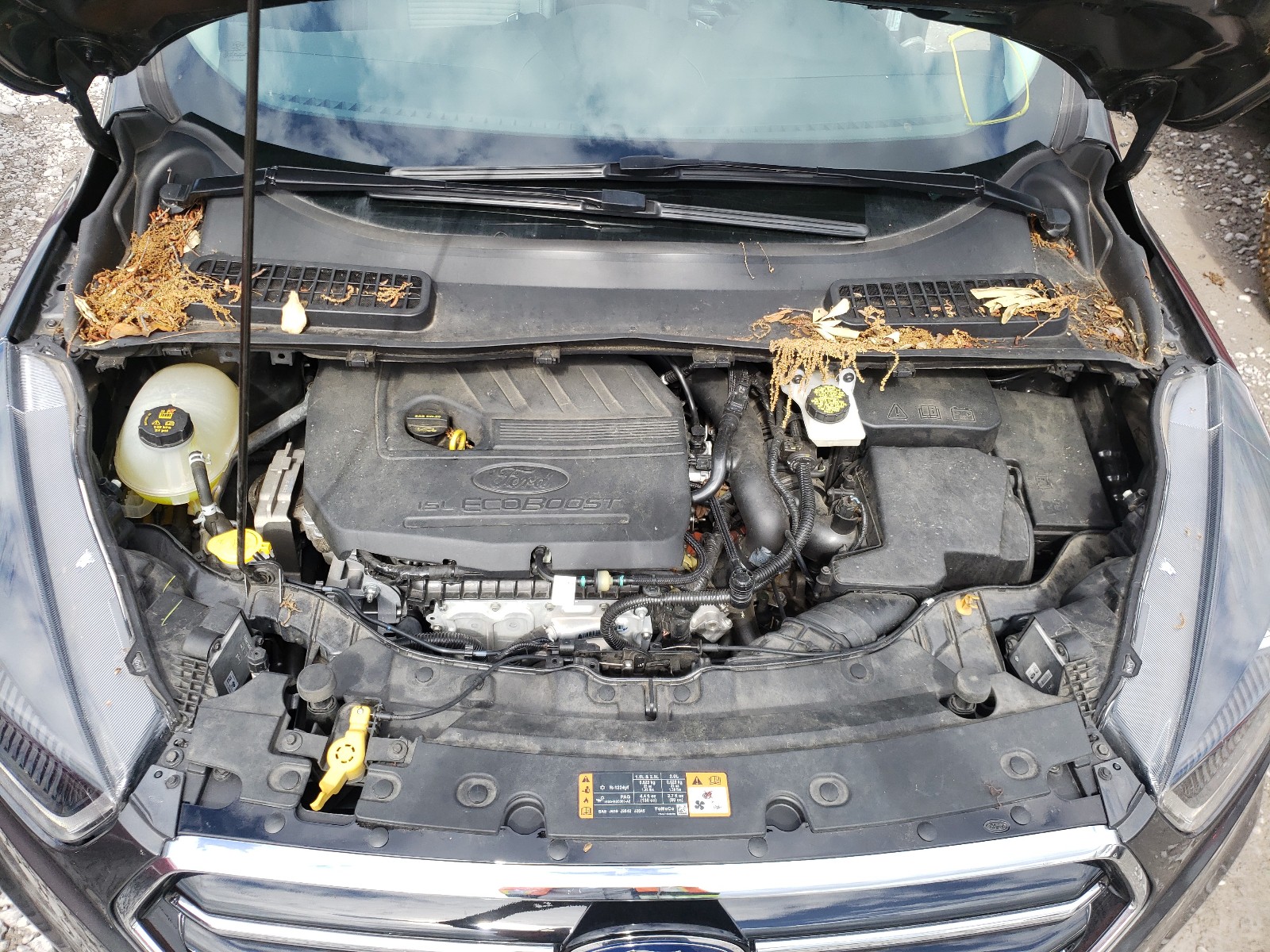 Photo 7 from auction – 2018 FORD ESCAPE SE with VIN 1FMCU0GD8JUD54493