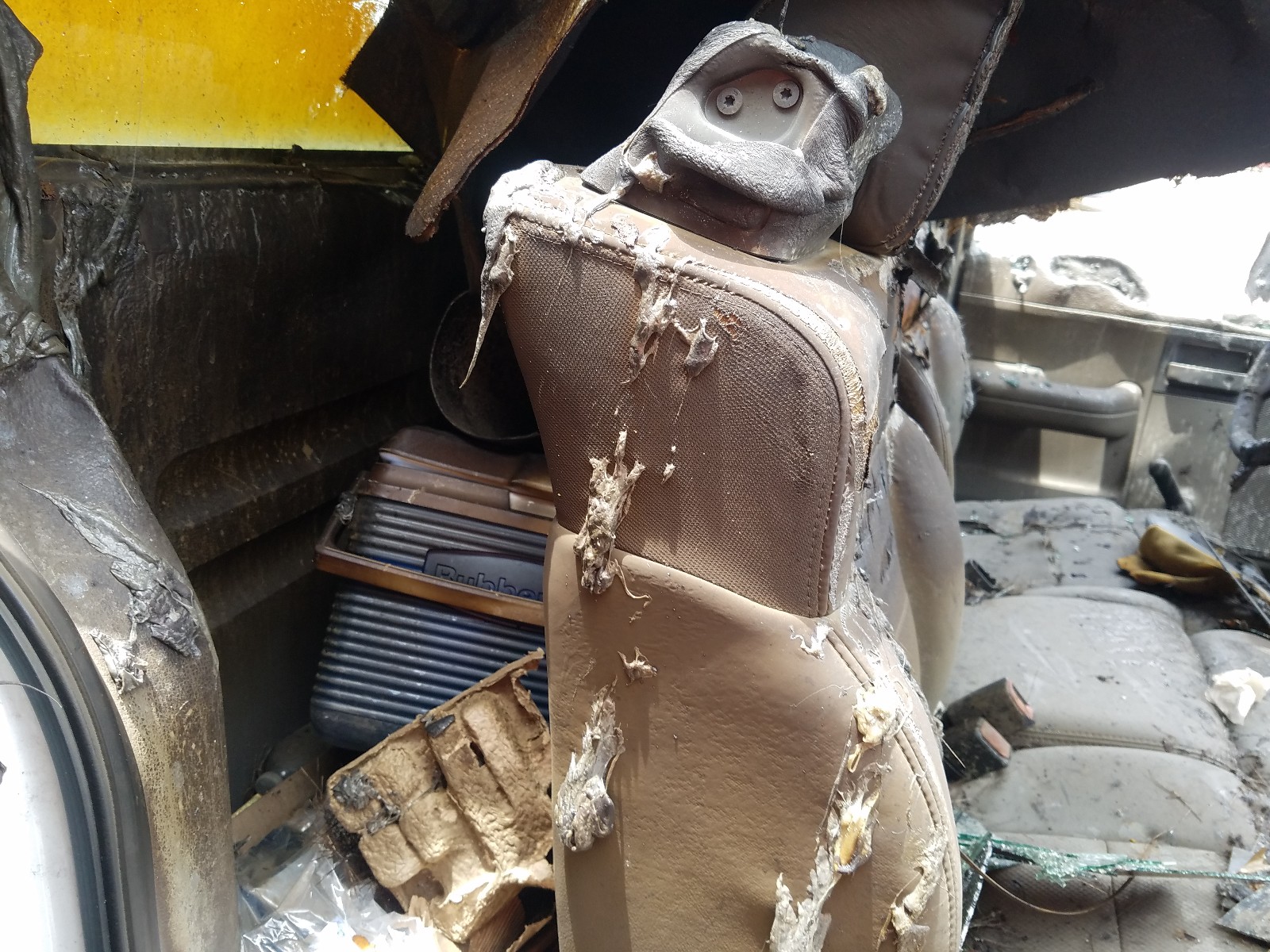 Zdjęcie 6 z aukcji – 2006 FORD F150 z VIN 1FTRF12286NA40638