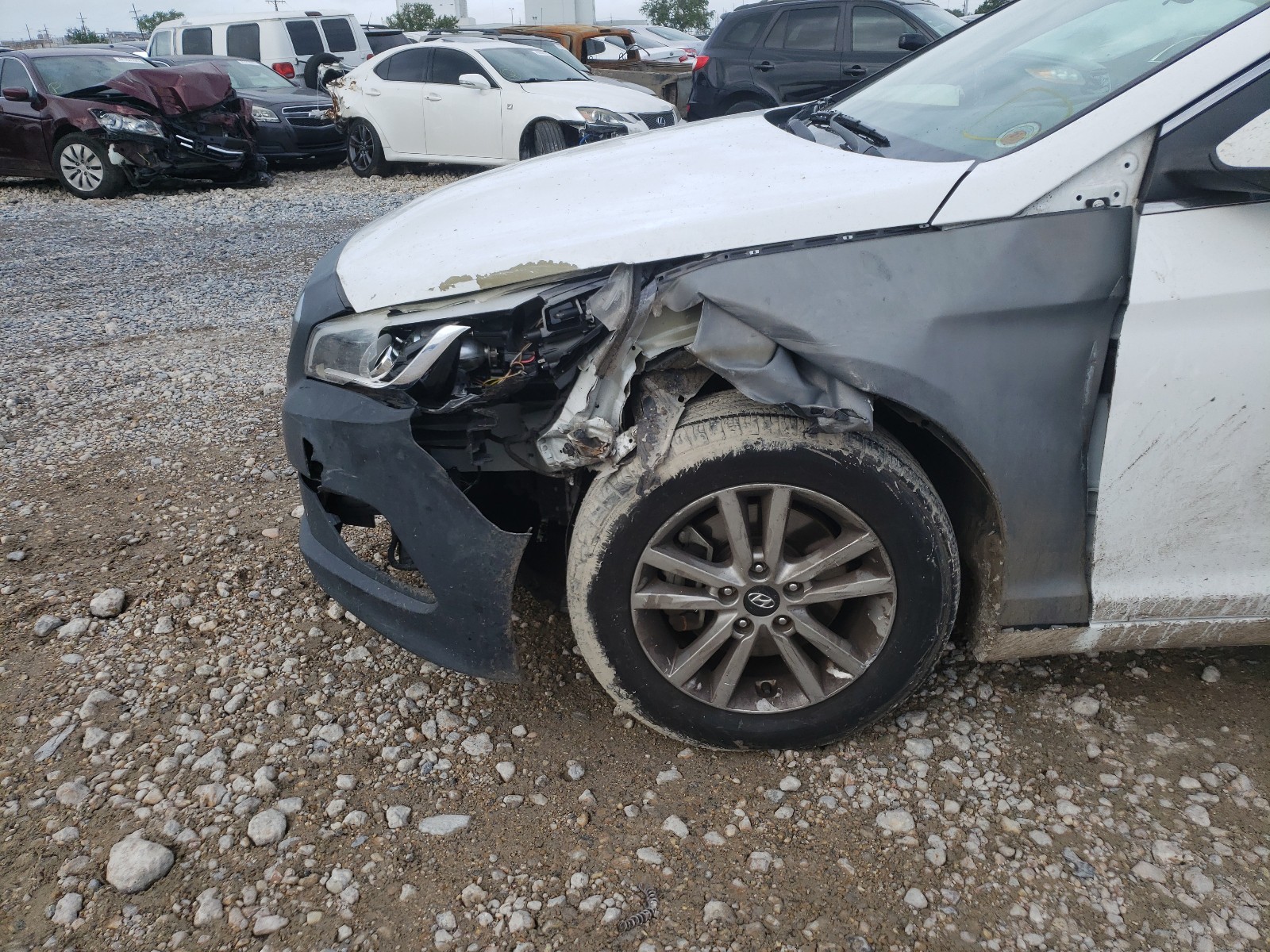 Photo 9 from auction – 2016 HYUNDAI SONATA SE with VIN 5NPE24AF1GH271348