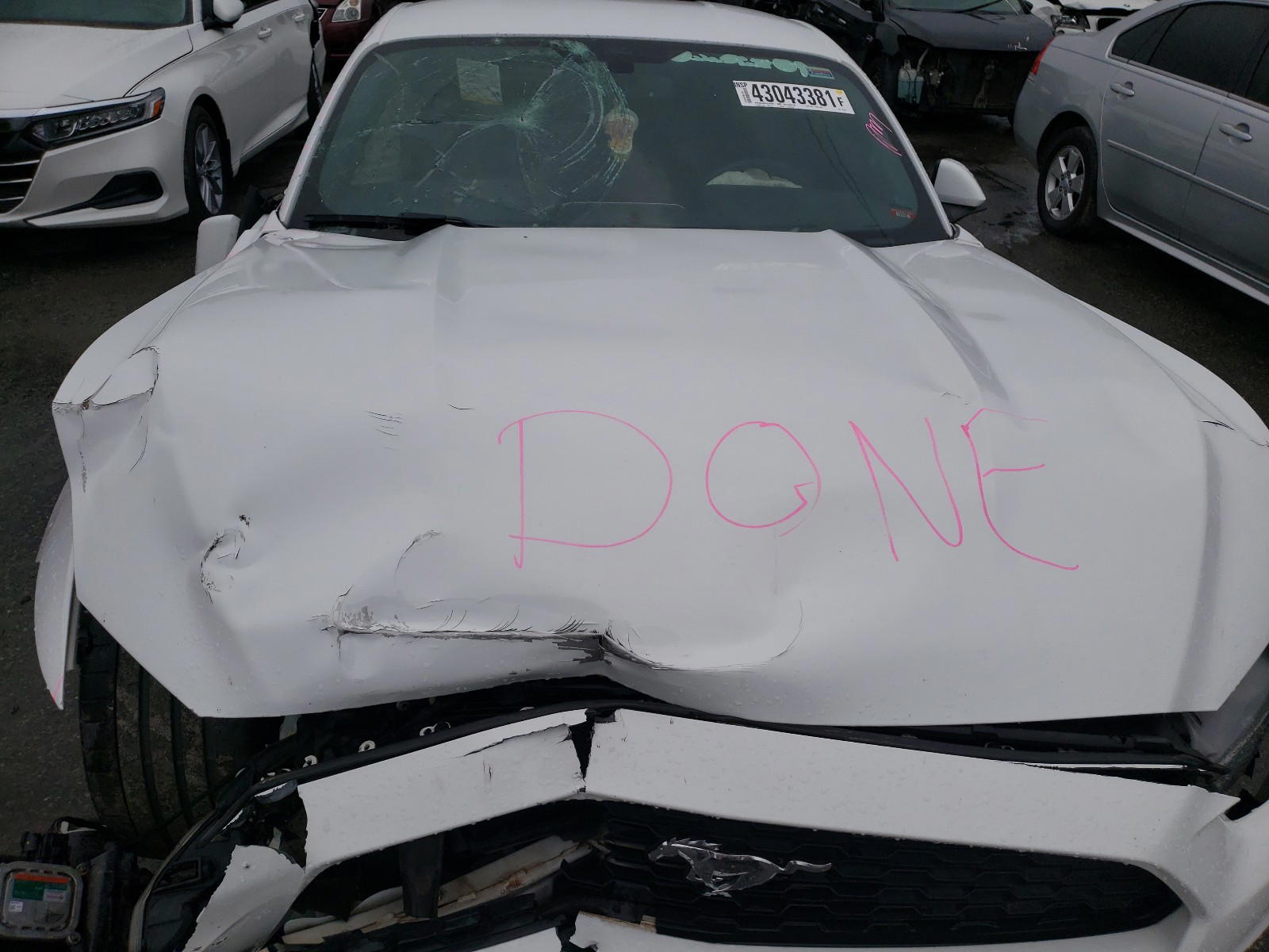 Photo 7 from auction – 2016 FORD MUSTANG with VIN 1FA6P8TH2G5205263