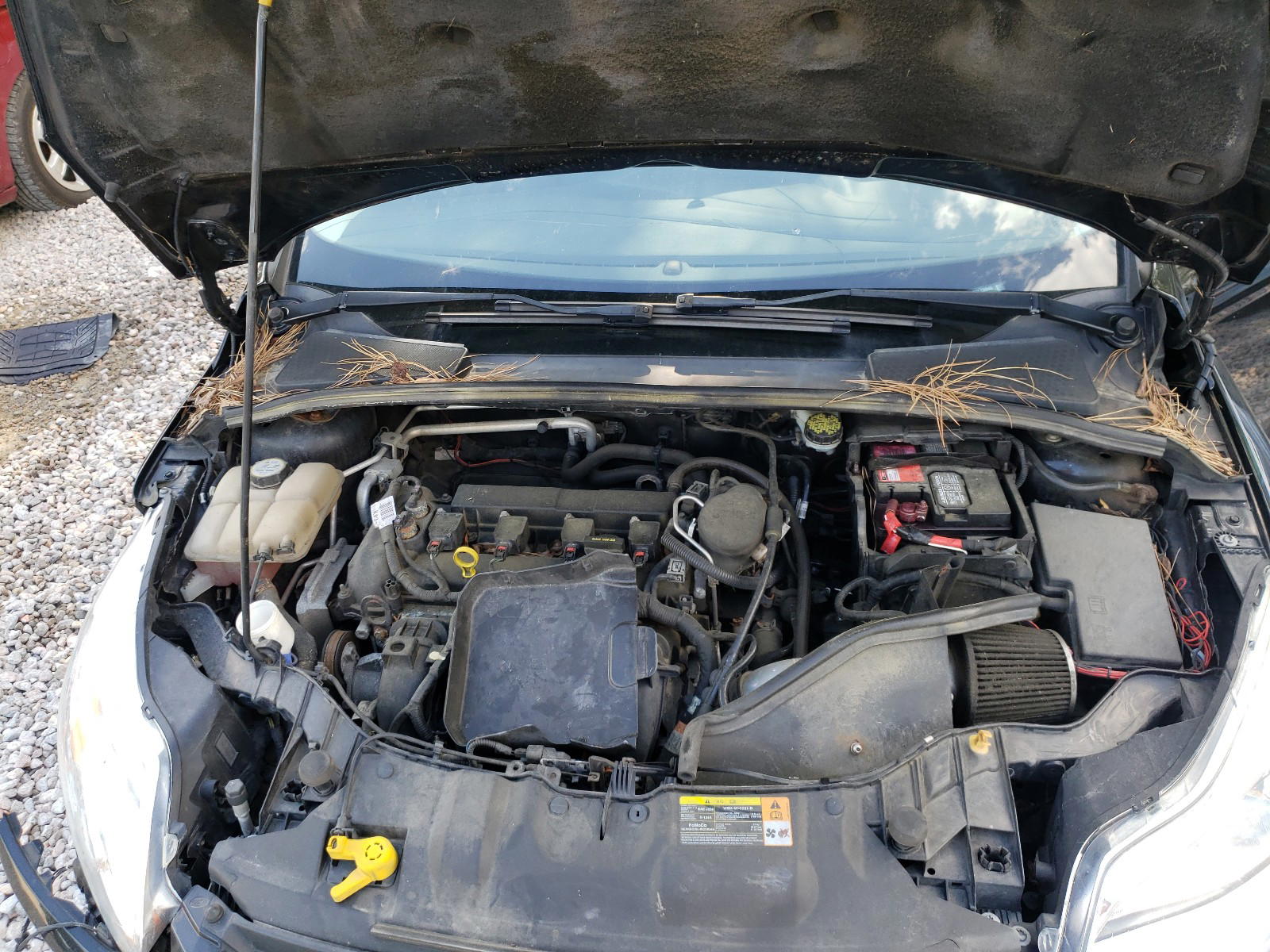 Photo 7 from auction – 2013 FORD FOCUS SE with VIN 1FADP3K25DL130945