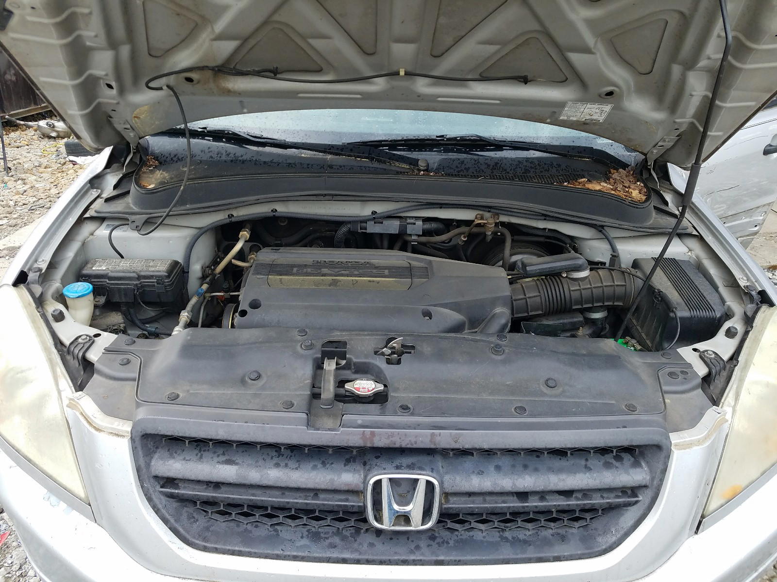 Photo 7 from auction – 2003 HONDA PILOT EXL with VIN 2HKYF18543H506087