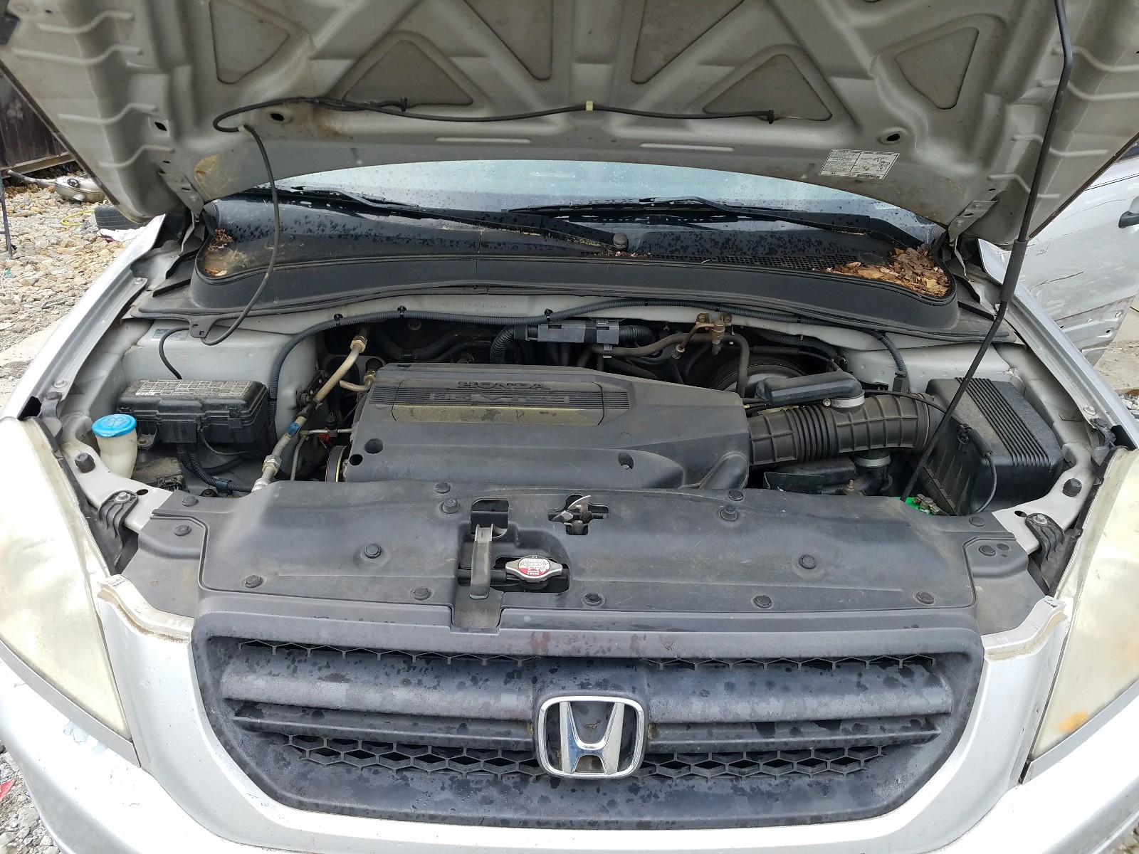 Zdjęcie 7 z aukcji – 2003 HONDA PILOT EXL z VIN 2HKYF18543H506087