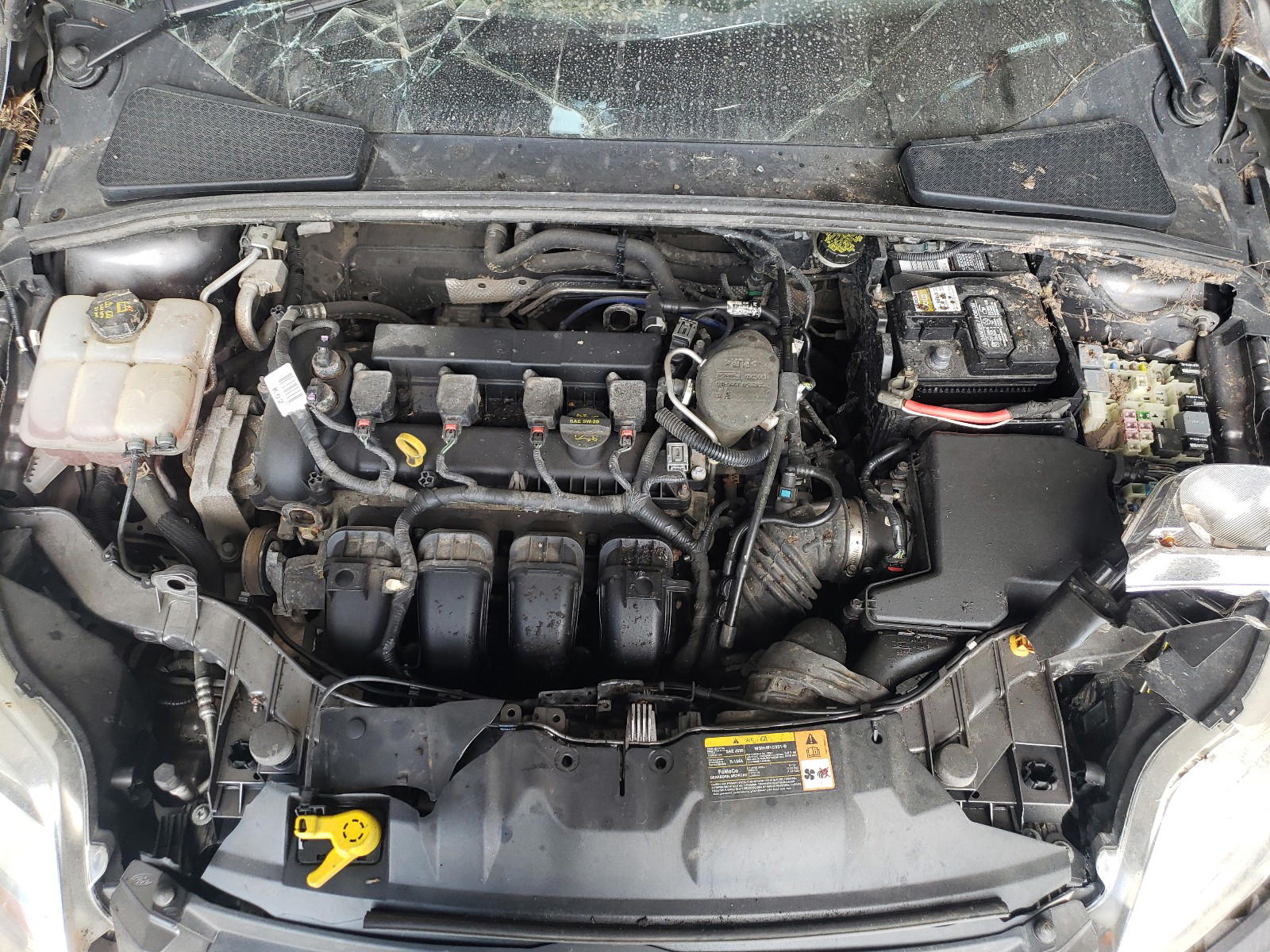 Photo 7 from auction – 2014 FORD FOCUS SE with VIN 1FADP3K27EL152317