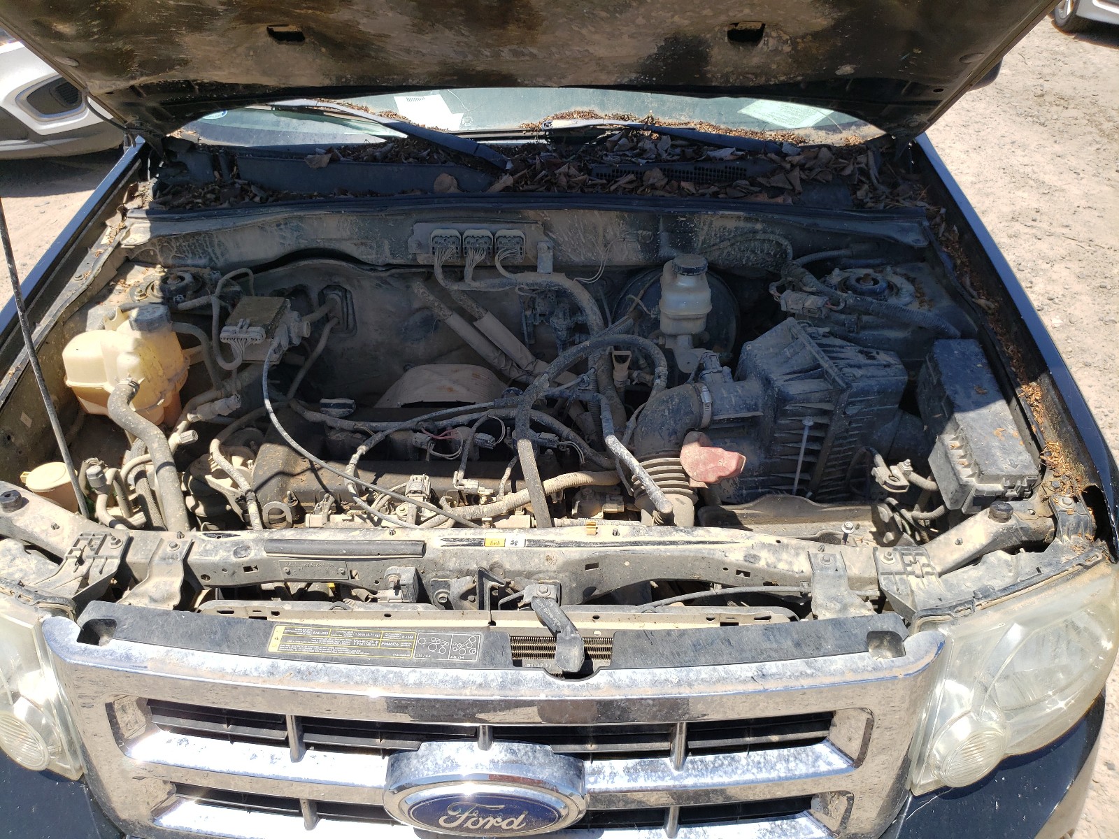 Photo 7 from auction – 2008 FORD ESCAPE XLT with VIN 1FMCU03ZX8KC39711