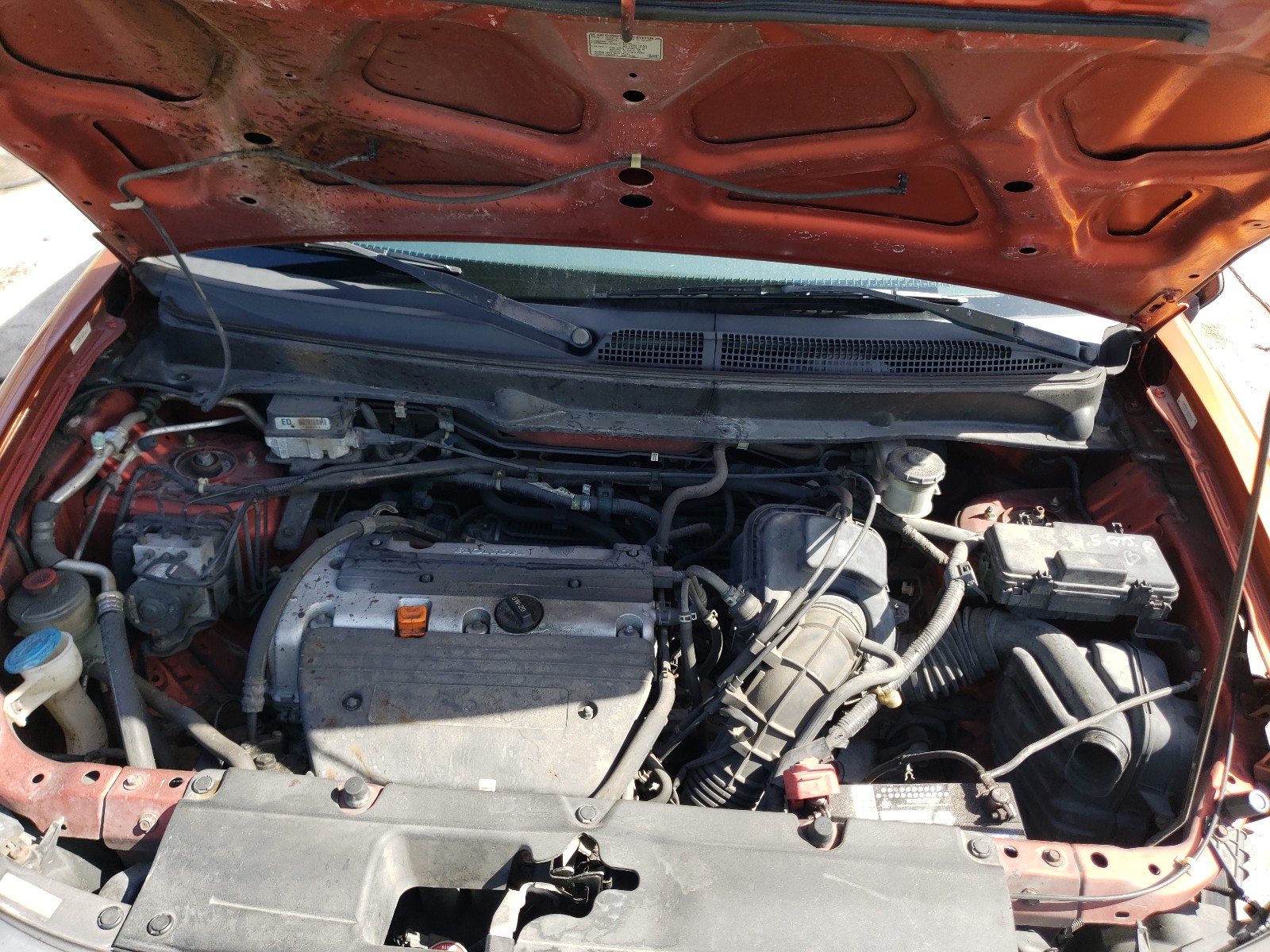 Photo 7 from auction – 2004 HONDA ELEMENT EX with VIN 5J6YH18584L011120