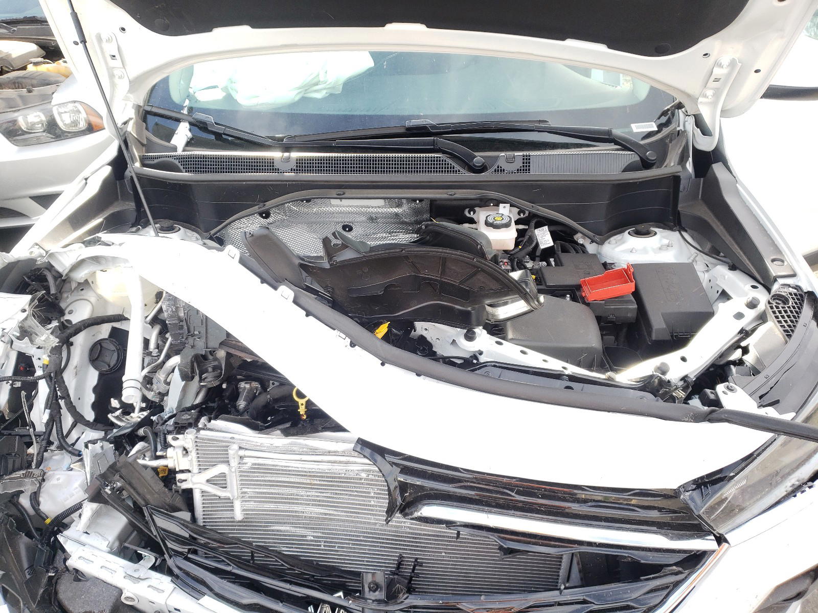 Photo 7 from auction – 2021 BUICK ENCORE GX with VIN KL4MMDSL2MB154122