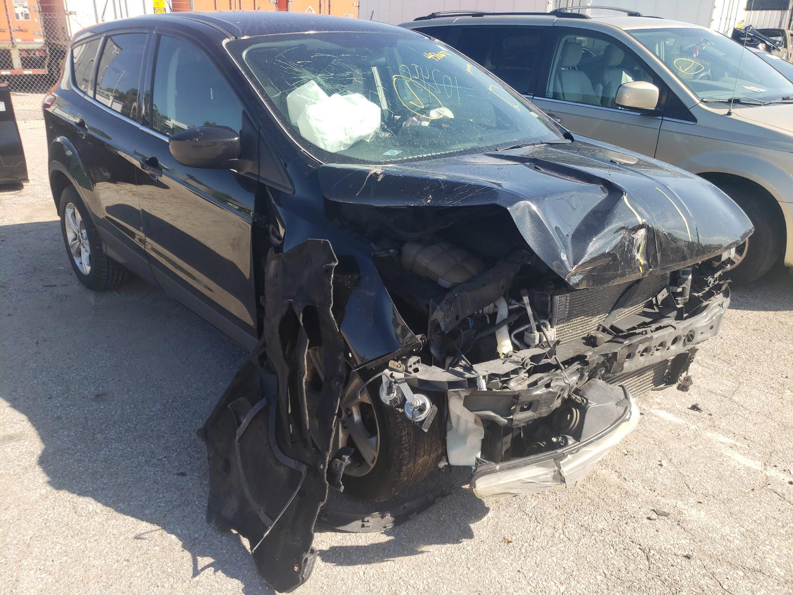 FORD ESCAPE SE 2014 with VIN 1FMCU0G91EUB98461 - Photo from auction