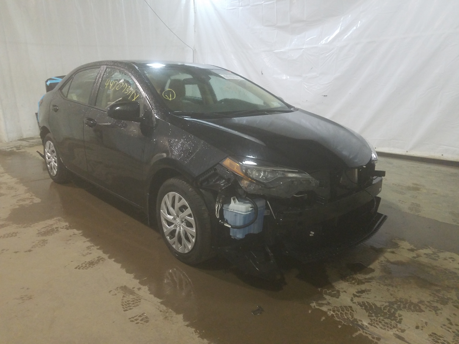 TOYOTA COROLLA L 2019 with VIN 2T1BURHE1KC226557 - Photo from auction