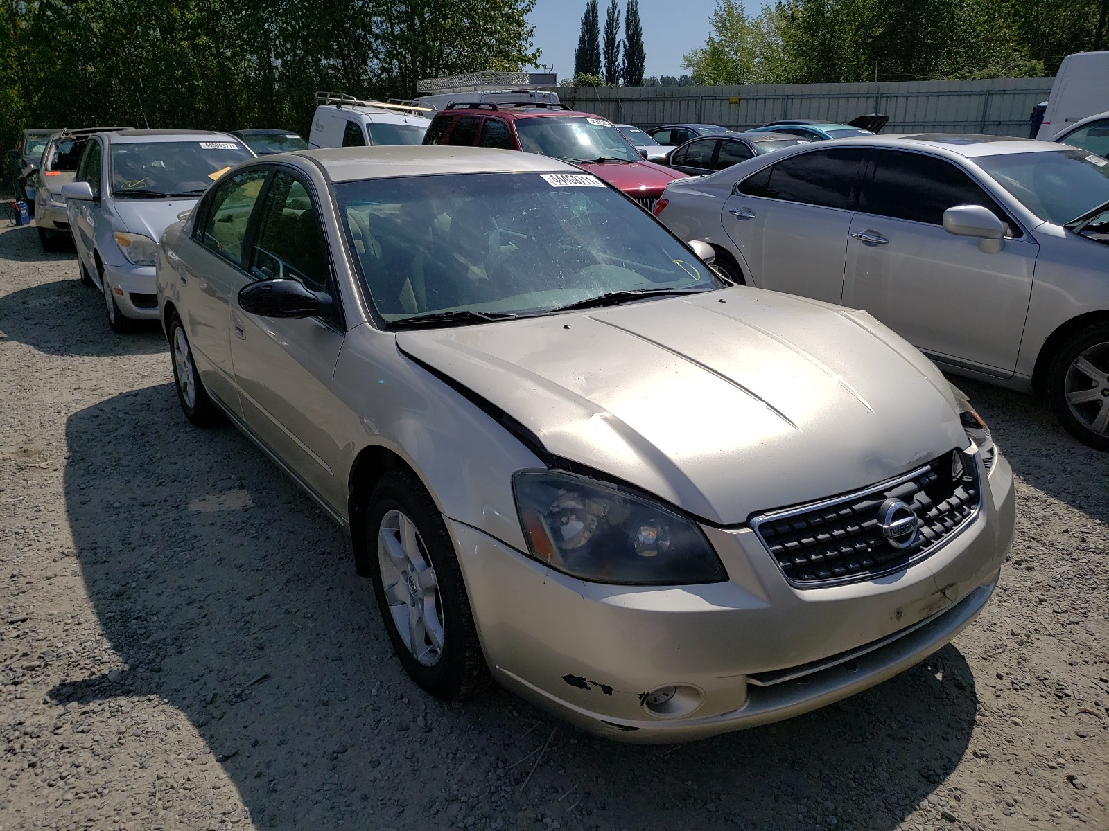 NISSAN ALTIMA S 2005 with VIN 1N4AL11D05C143951 - Photo from auction