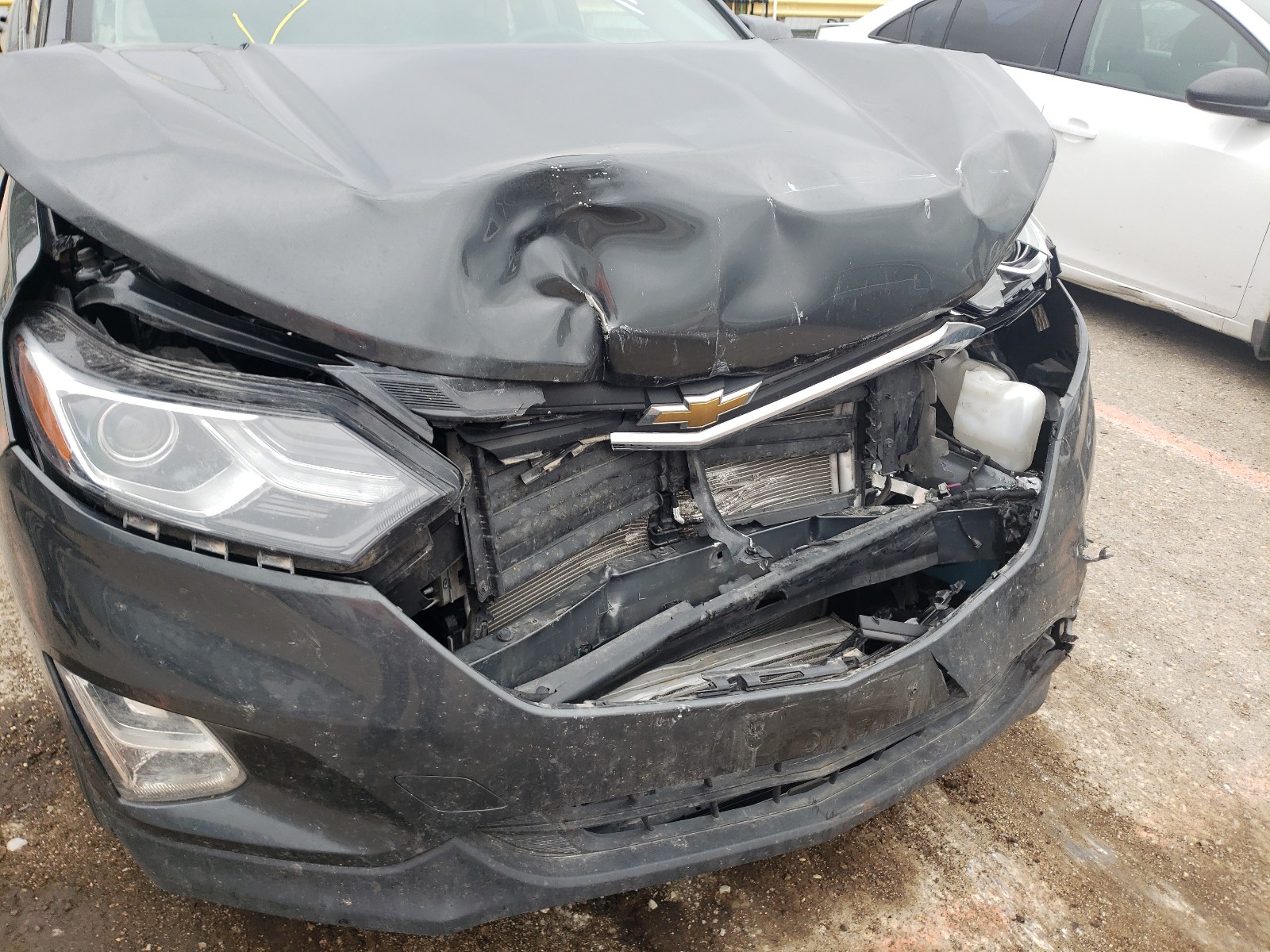 Photo 9 from auction – 2019 CHEVROLET EQUINOX LT with VIN 2GNAXKEV4K6211087