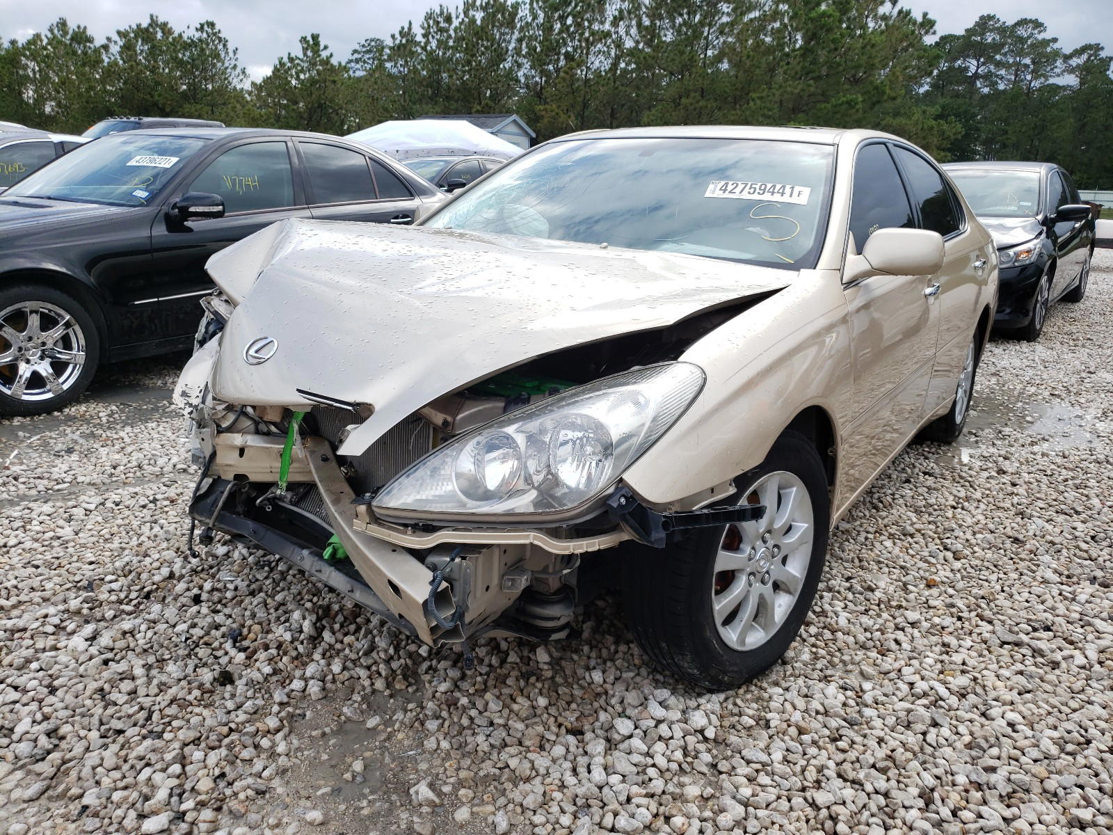 Photo 2 from auction – 2002 LEXUS ES 300 with VIN JTHBF30G220081249