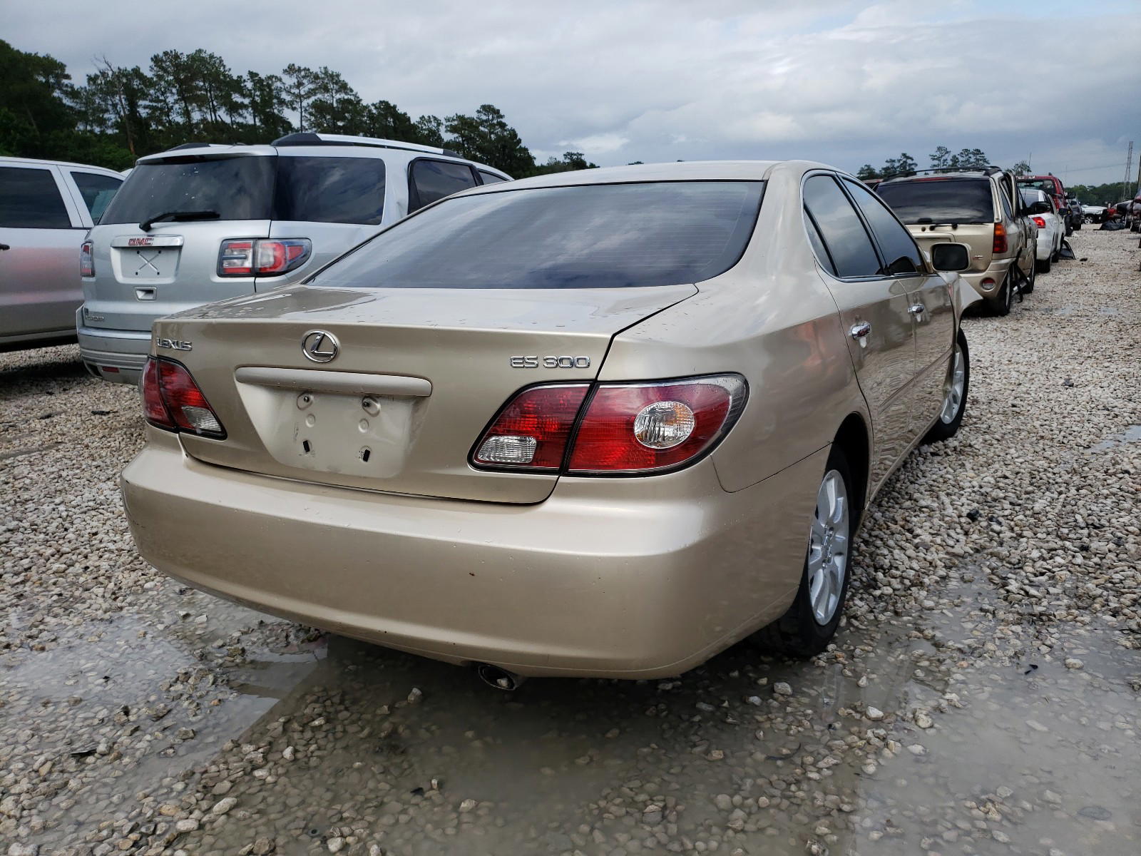 Photo 4 from auction – 2002 LEXUS ES 300 with VIN JTHBF30G220081249